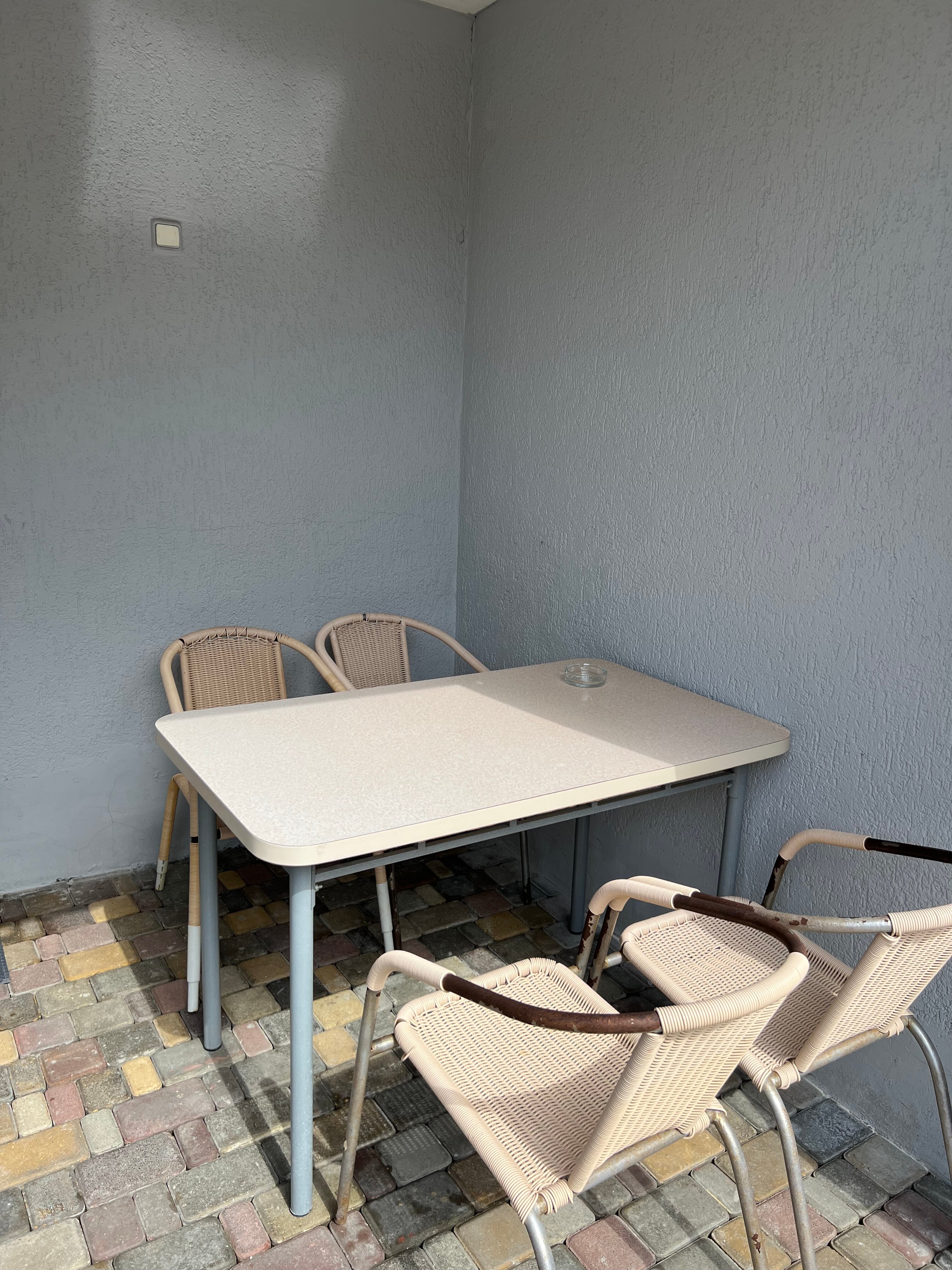 Фото Фламинго