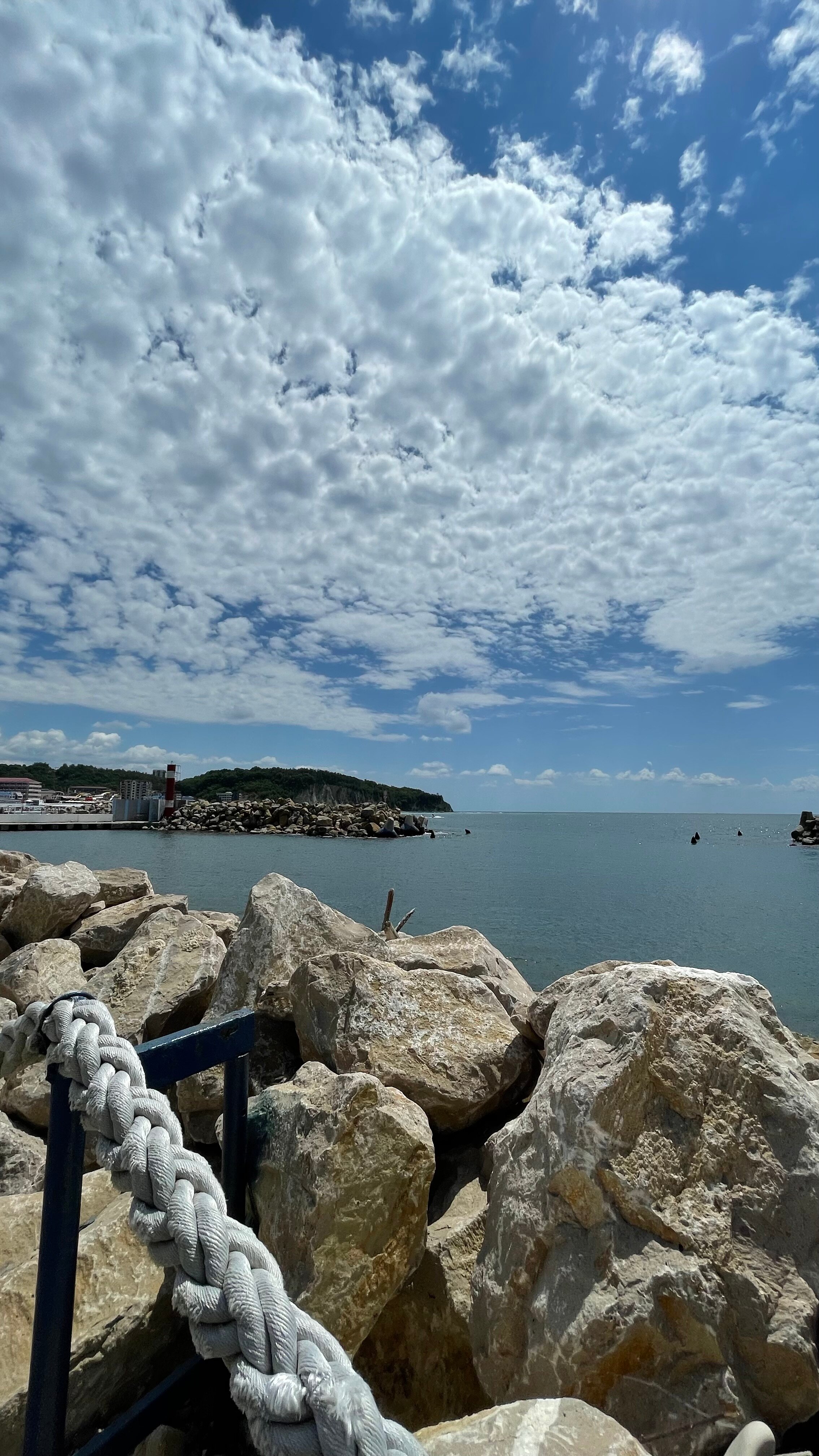 Фото Гостевой дом Шоколад