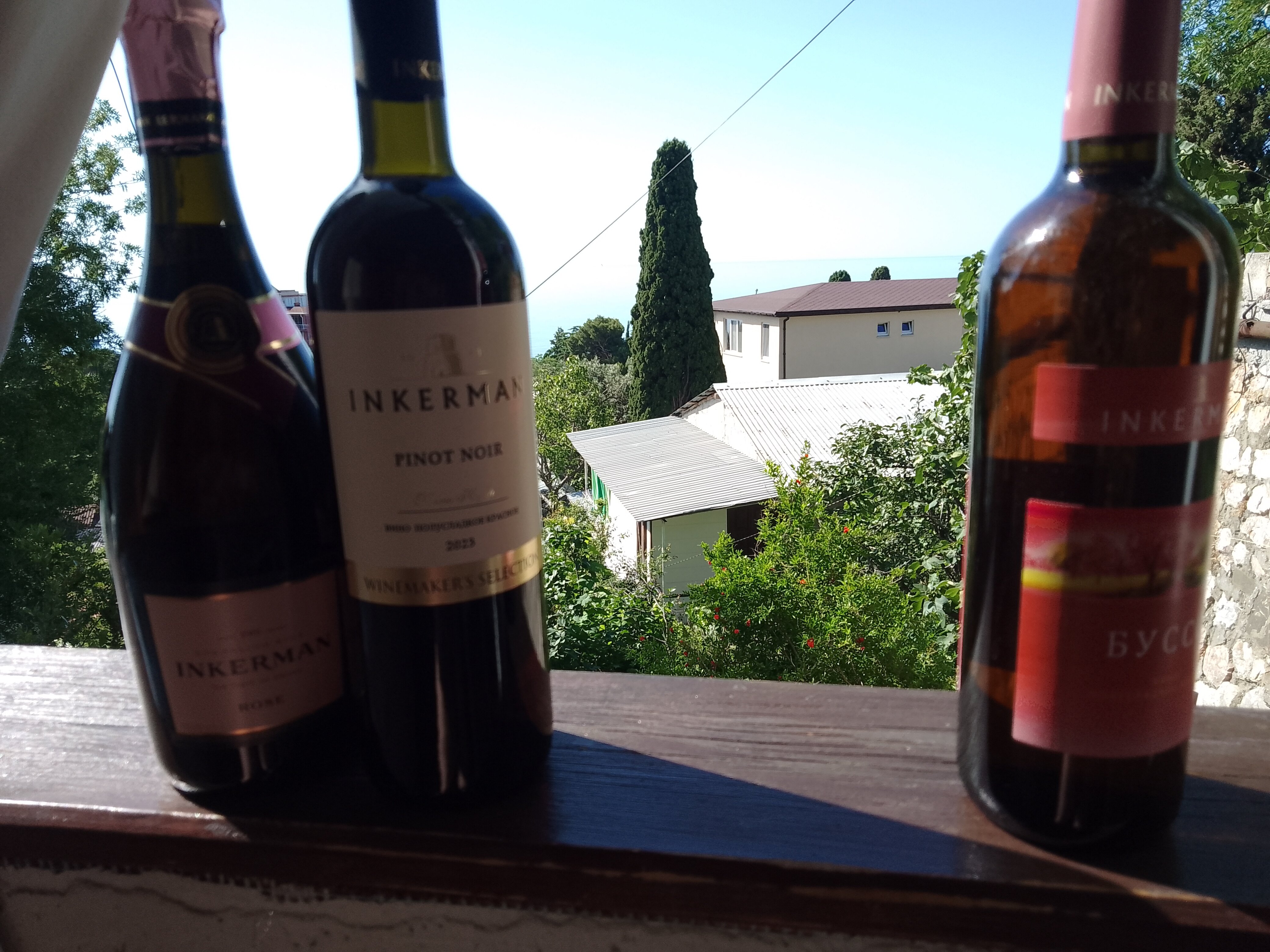 Фото Бархатный сад