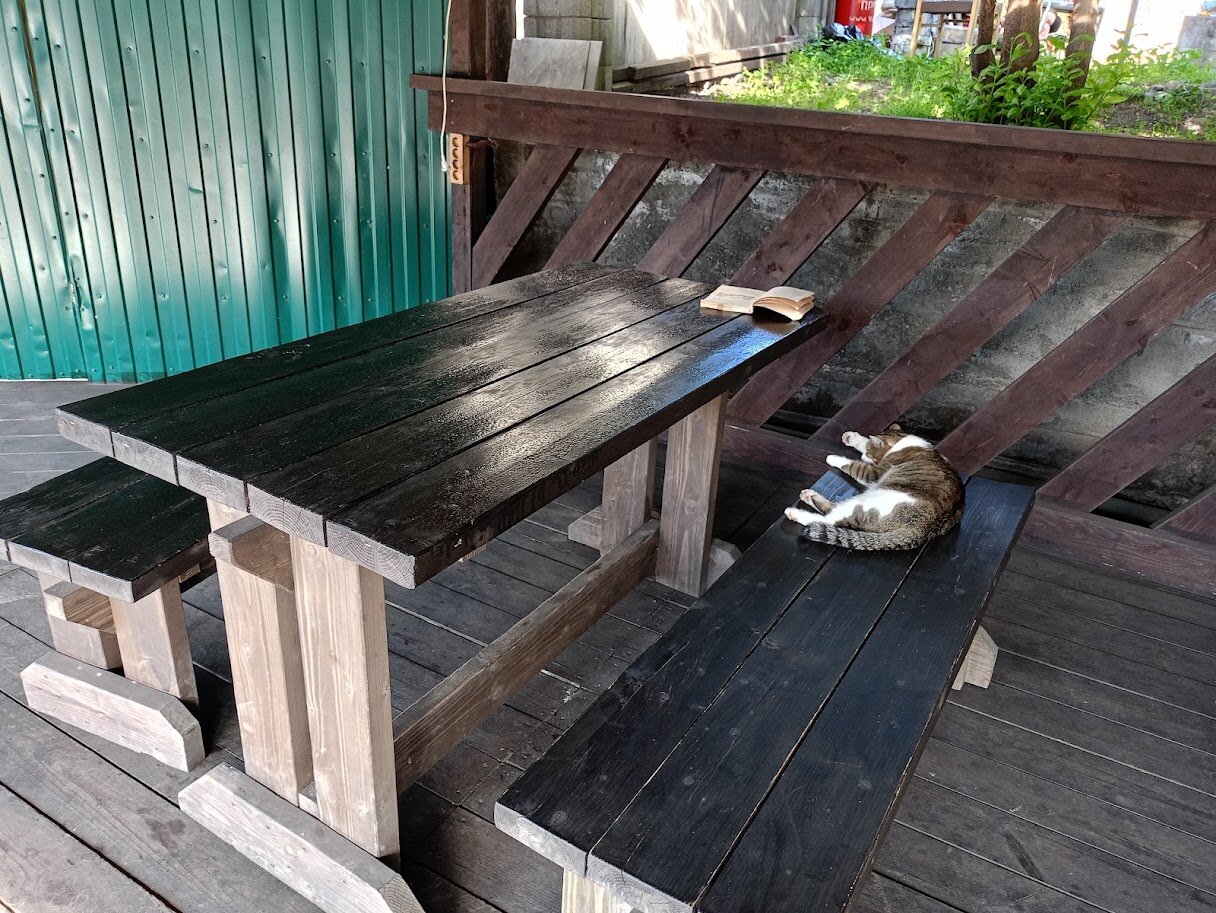 Фото Викинг на Катуни