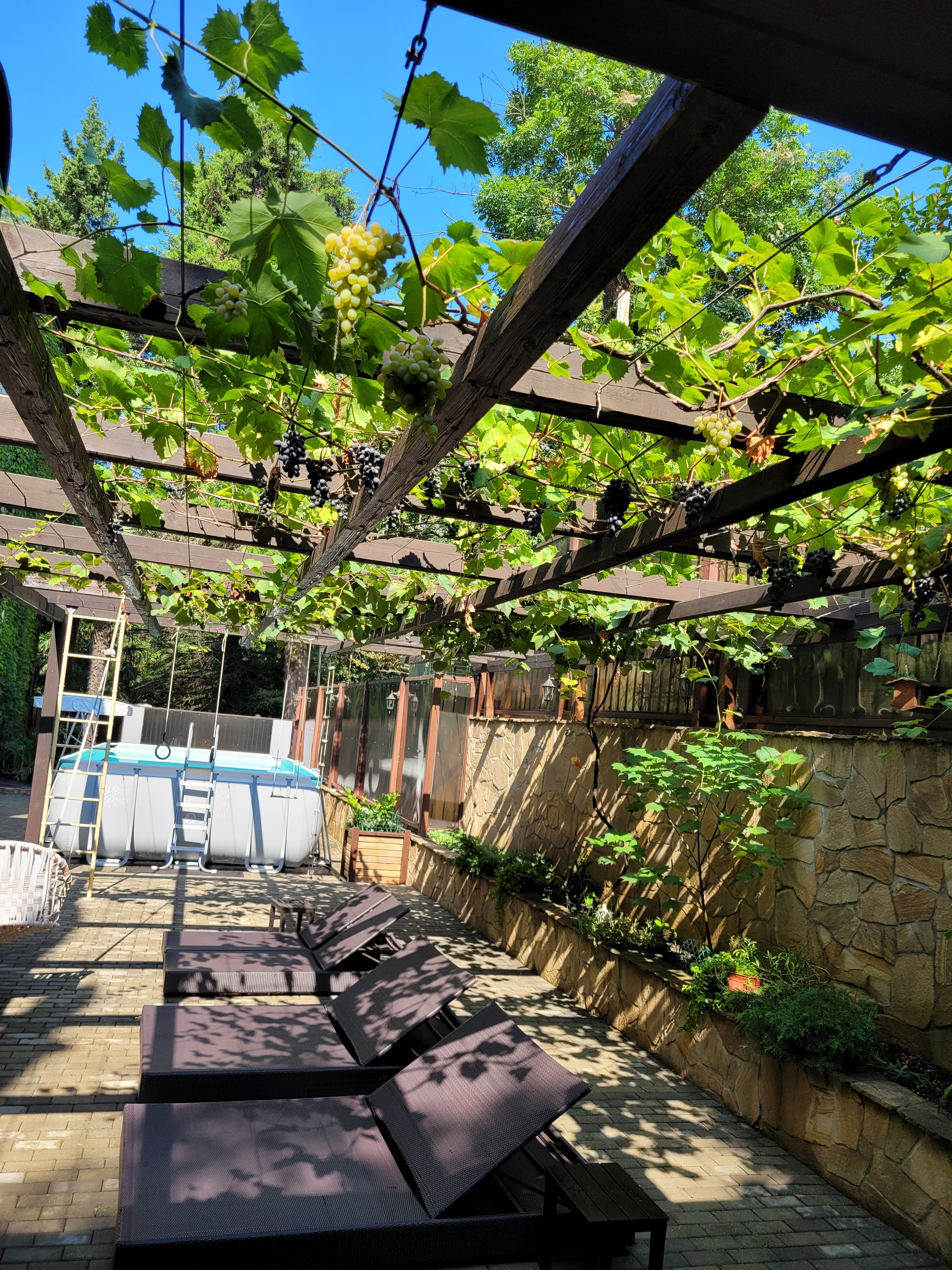 Фото Грин Клаб