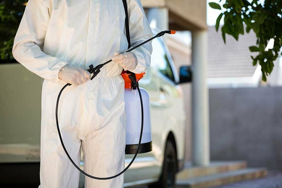 Disinfection, disinsection, deratization Tomurcuk Pest Control, Konya, photo