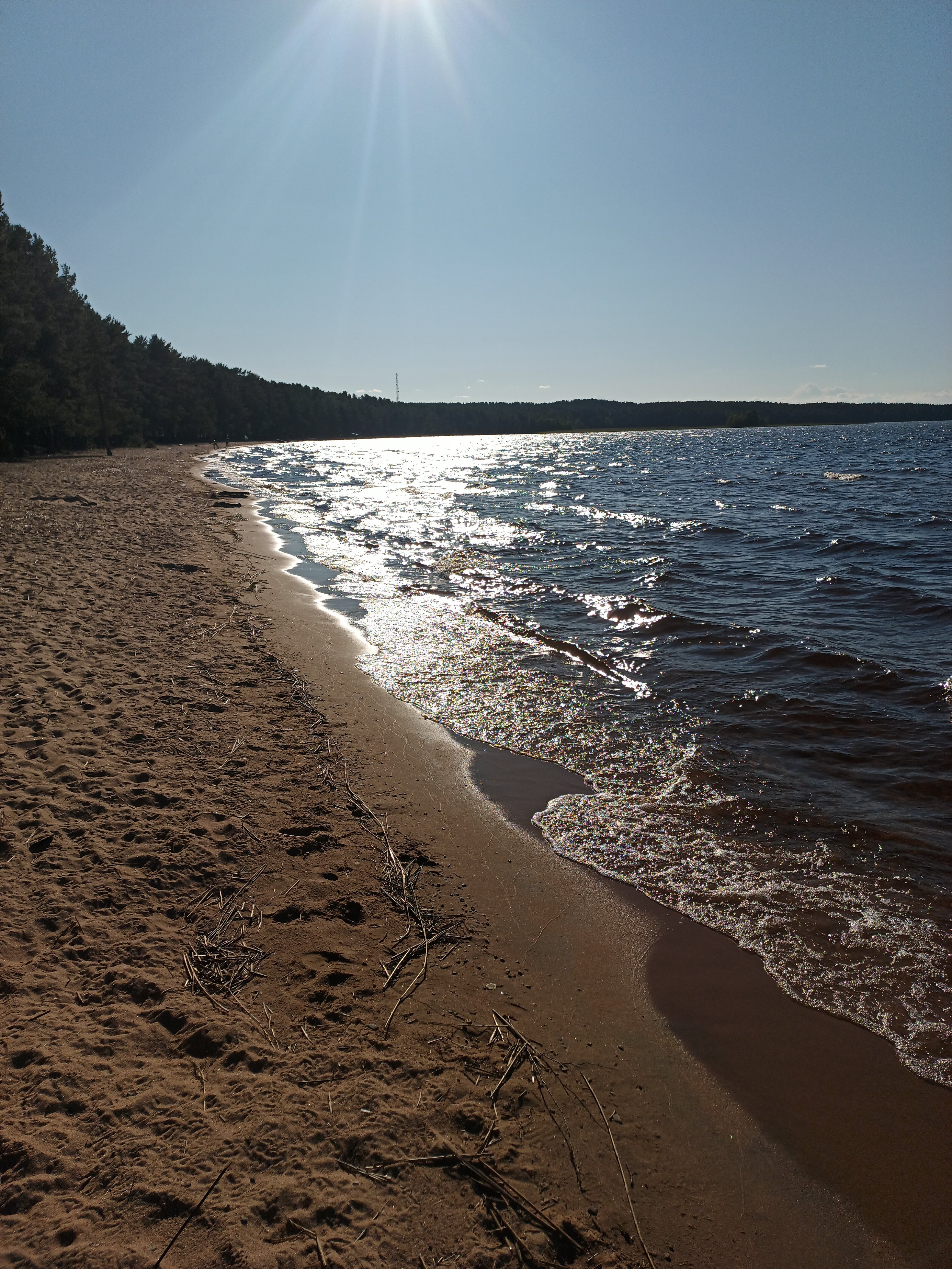Фото Aldi Karelia