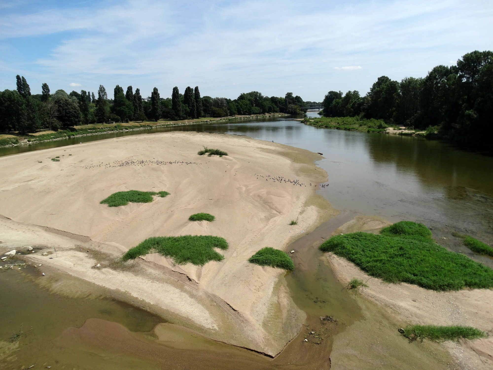 Фото Hotel Le Castel Fleuri