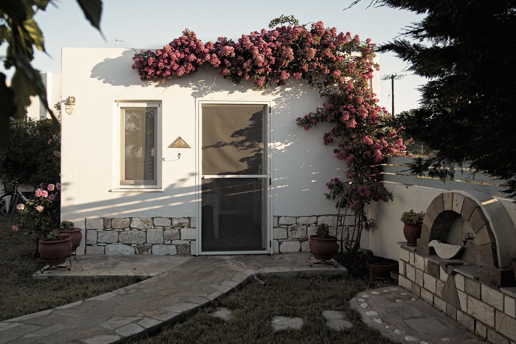 Фото Kallisti Studios