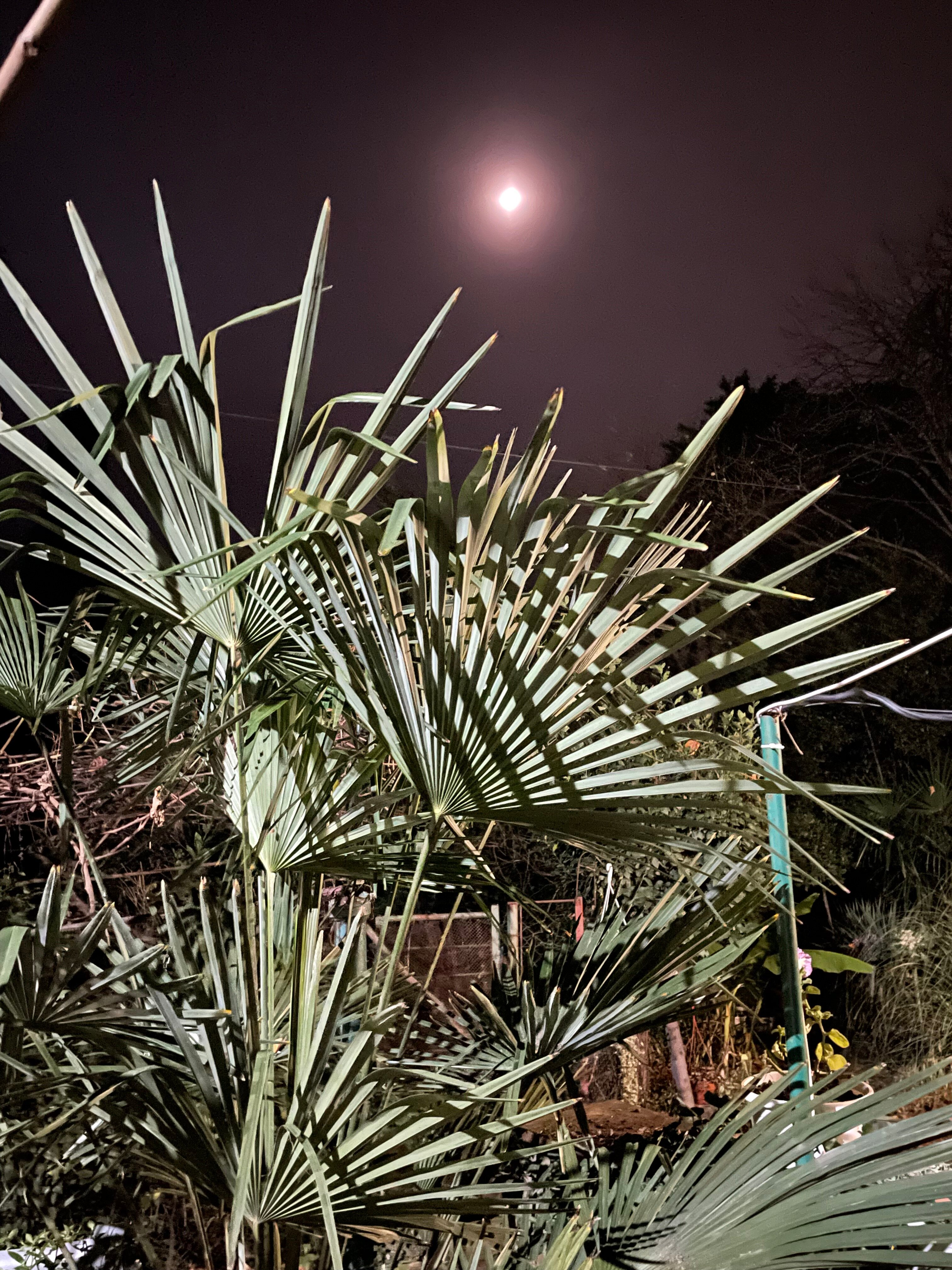 Фото Дом для отдыха