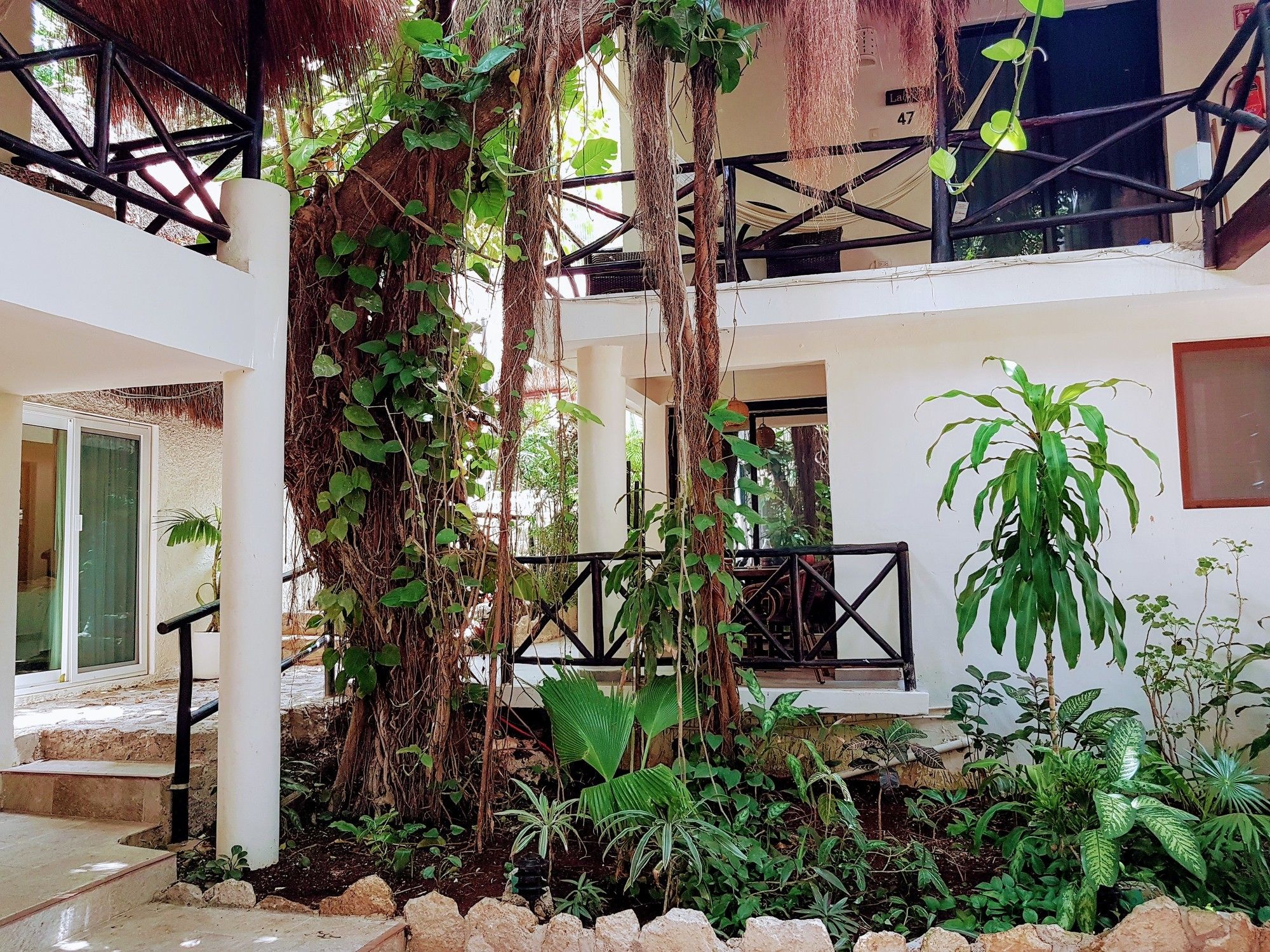 Фото Hotel Club Yebo