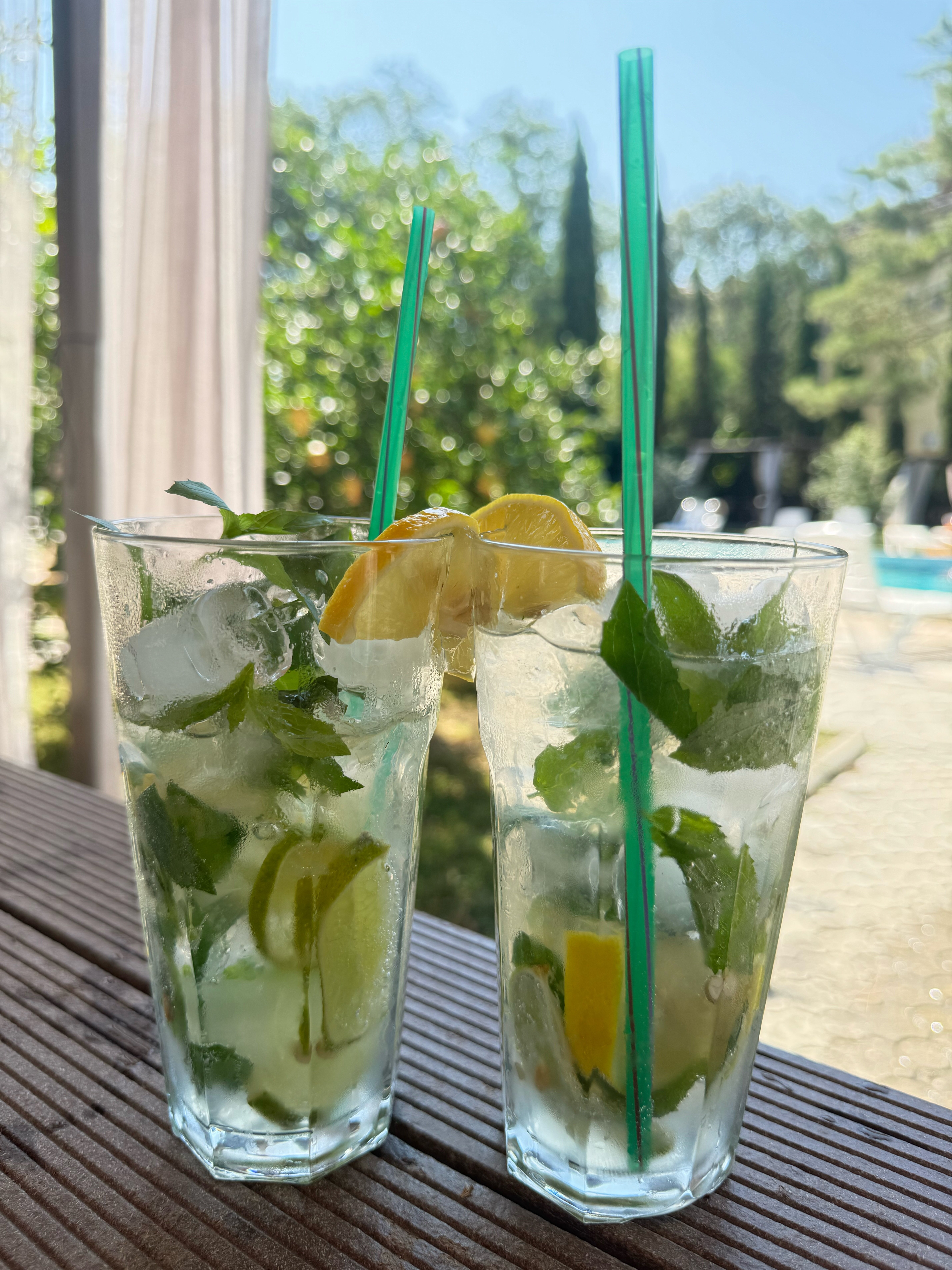 Фото Морской конек