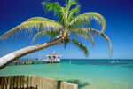 Best Paradise Turizm (İstanbul, Fatih, Gazi Mustafa Kemalpaşa Cad., 22A), travel agency