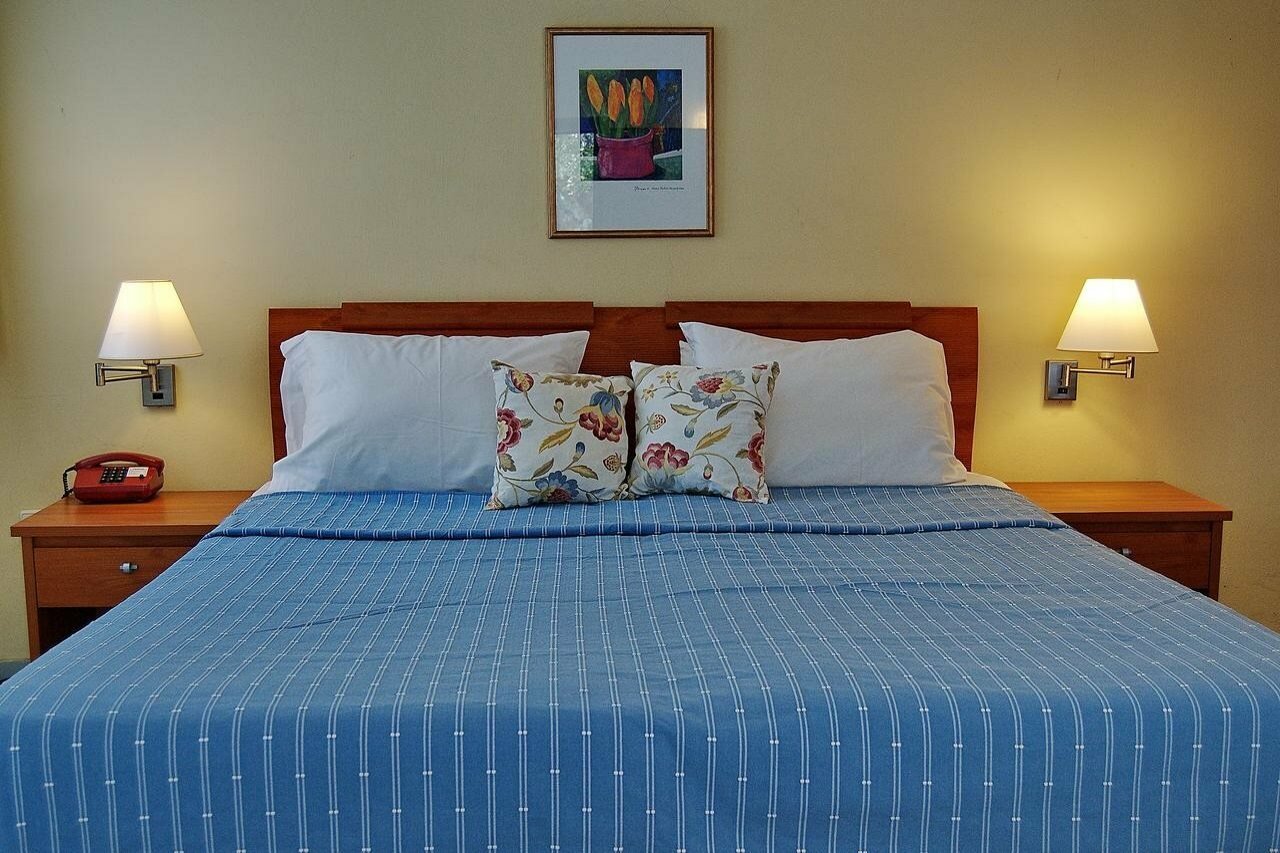 Фото Palatia Village