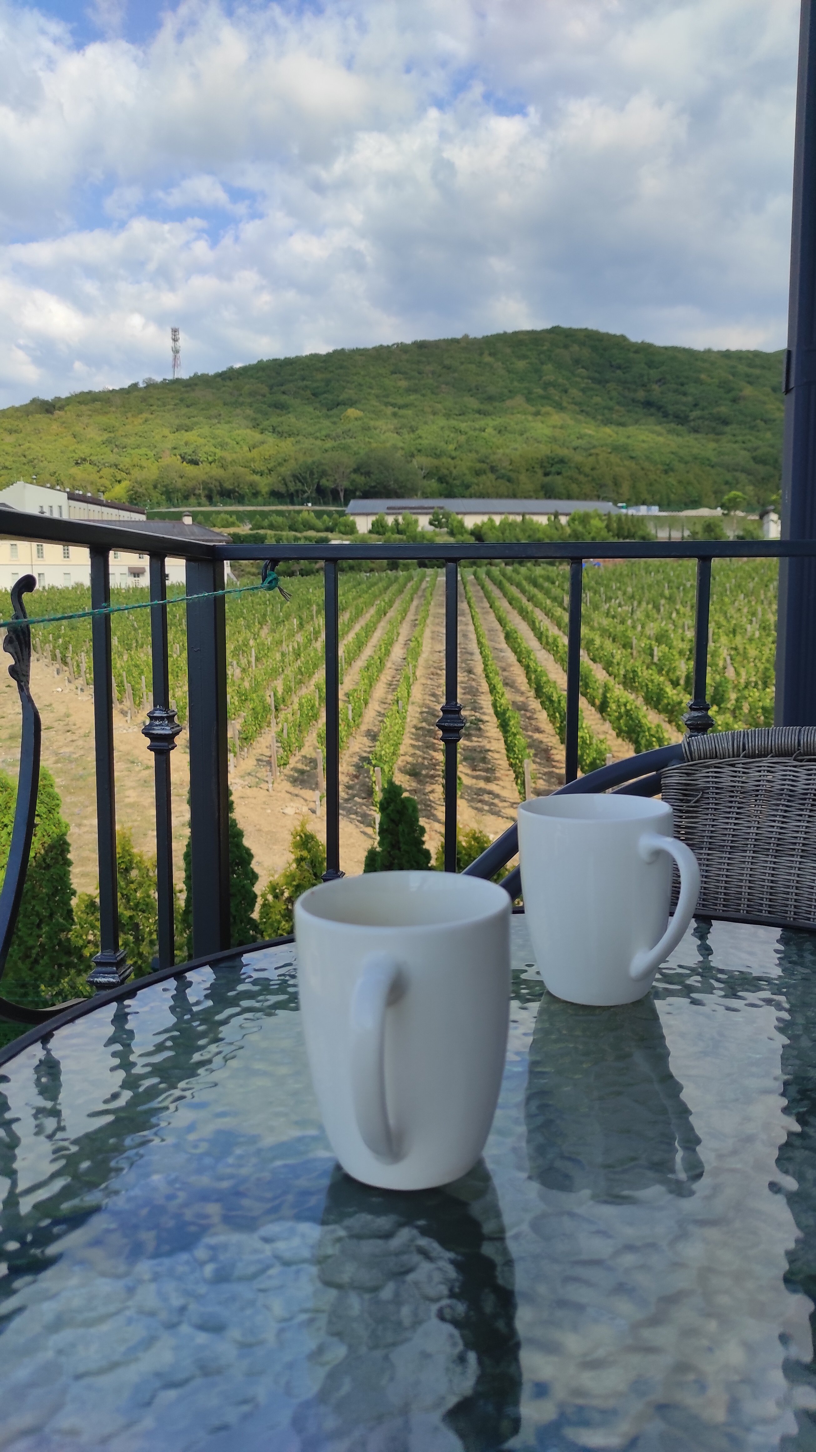 Фото Stella al mare