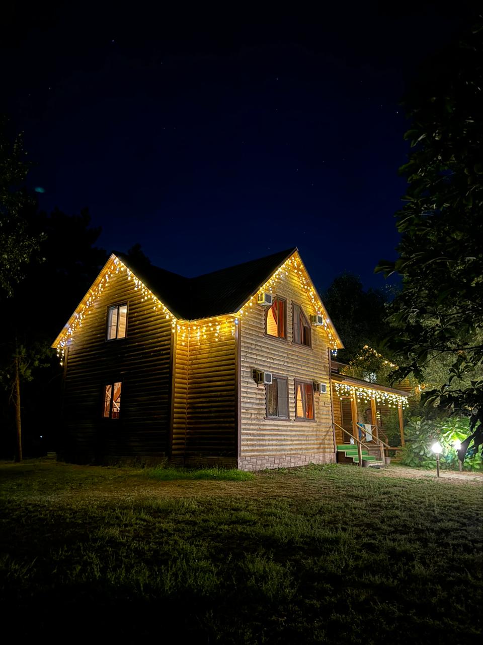 Фото Лесная