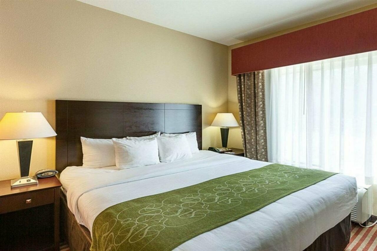 Фото Comfort Suites Medical Center near Six Flags