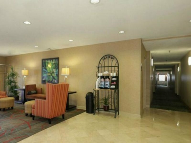 Фото Wyndham Garden Jacksonville