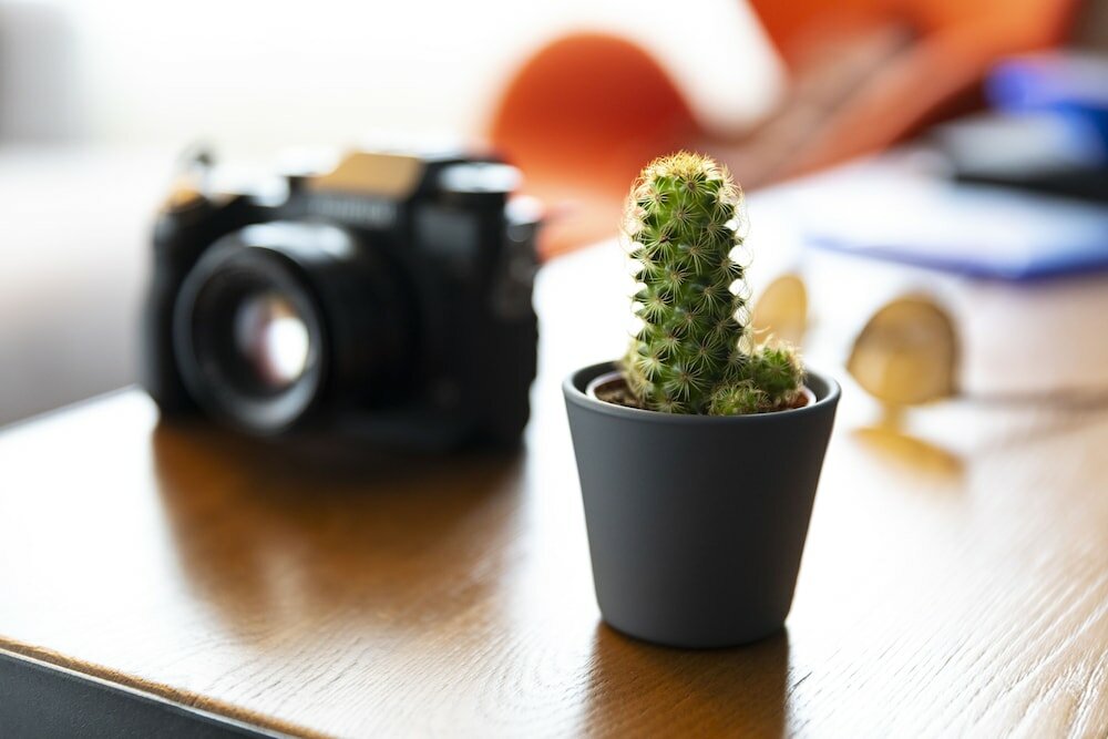 Фото Pentahotel Rostock