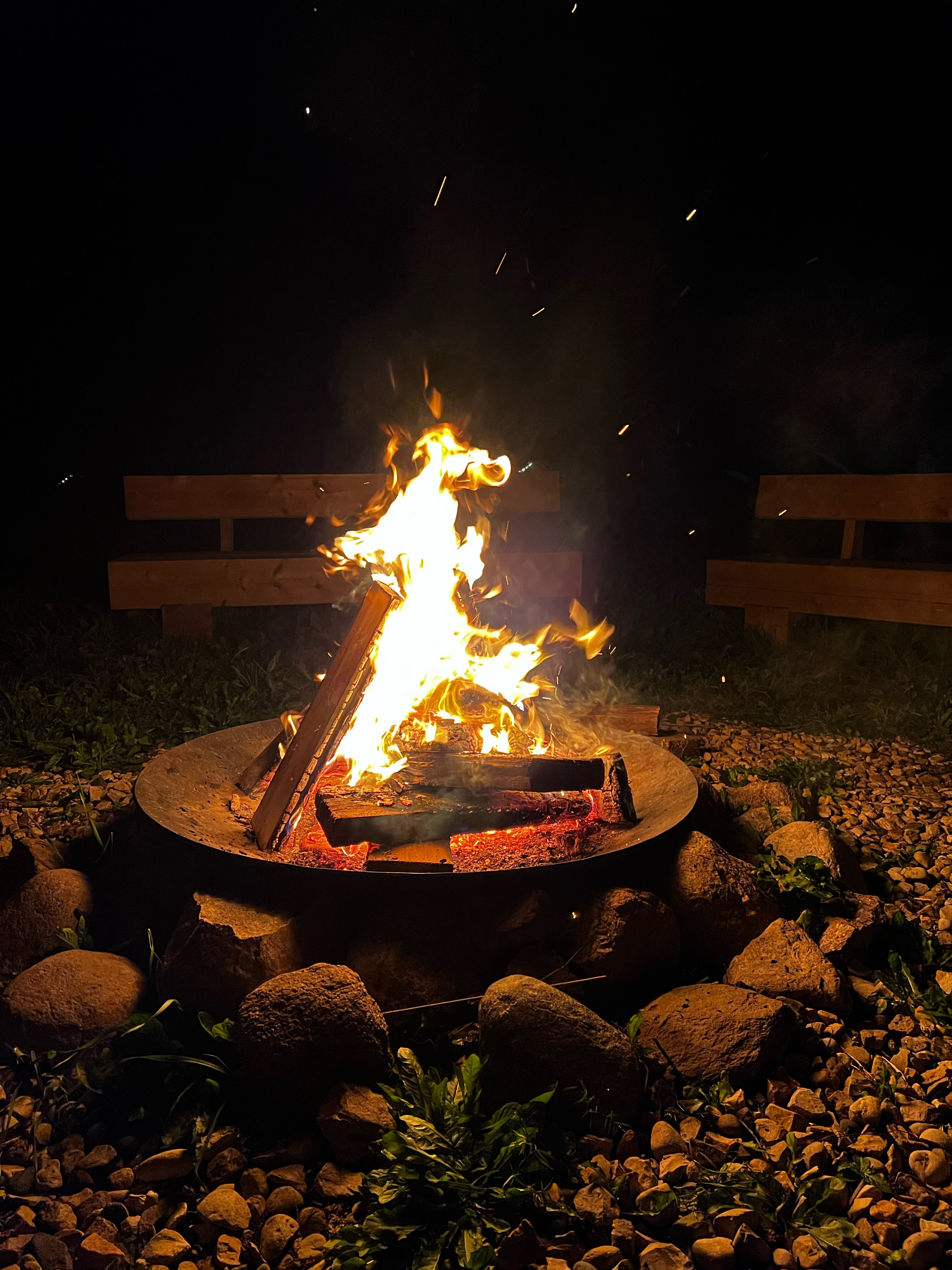 Фото Носороги