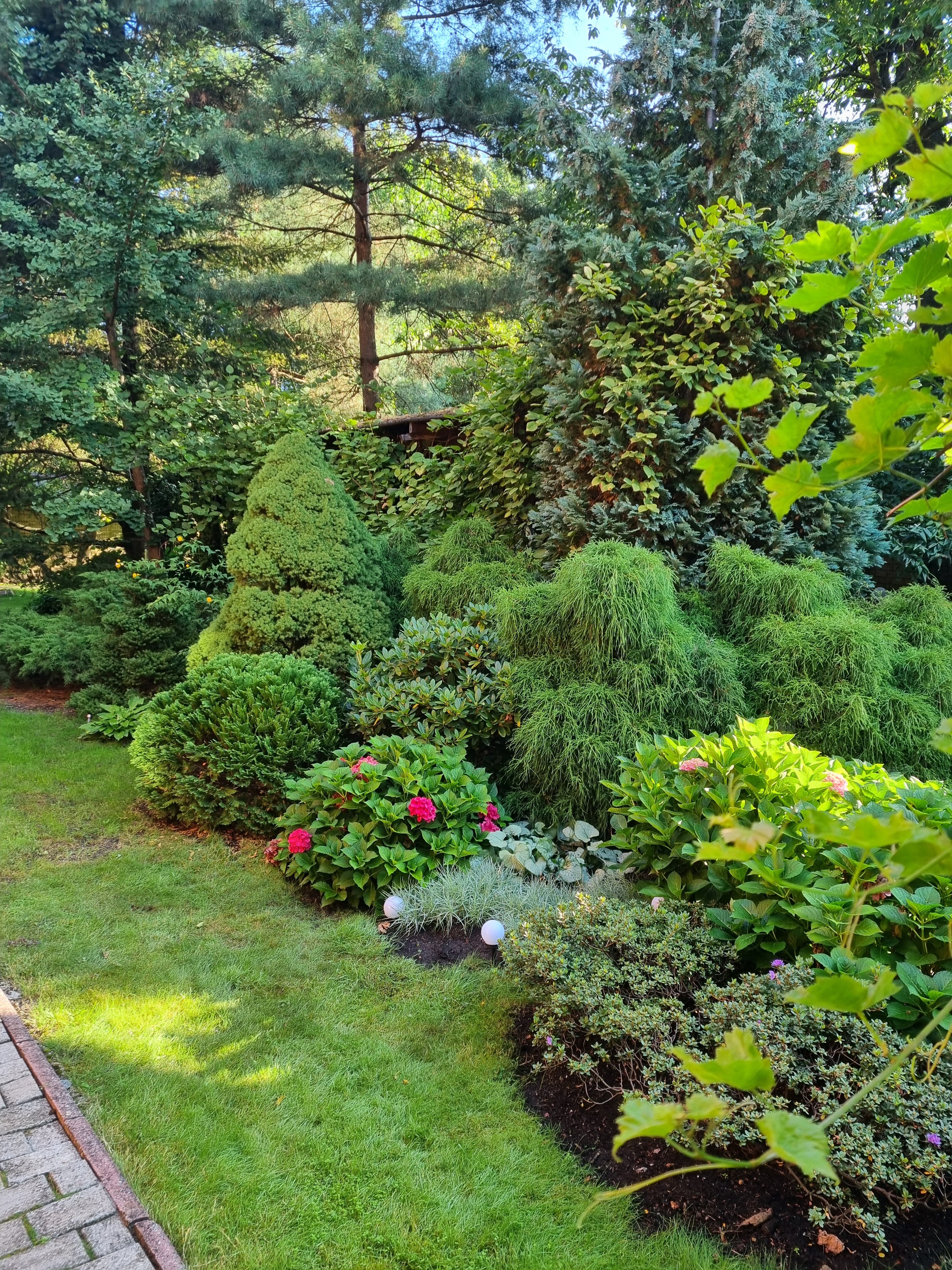 Фото Черепаха