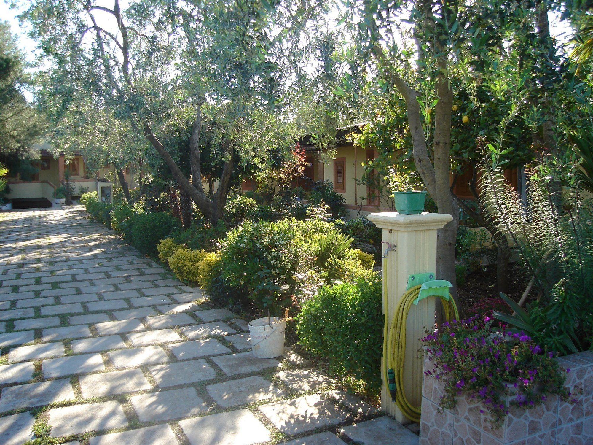 Фото Residence Giardino