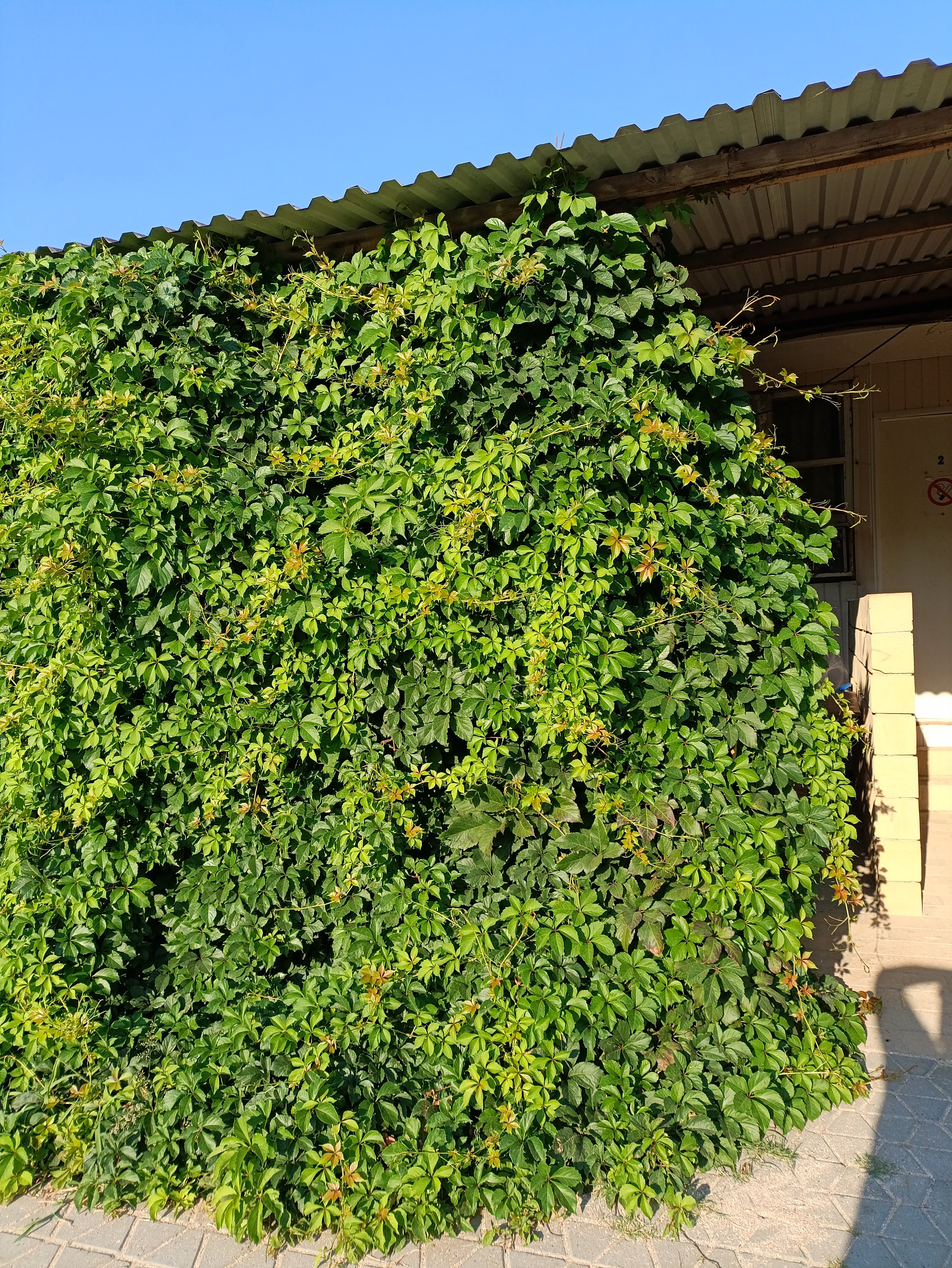 Фото Гранит