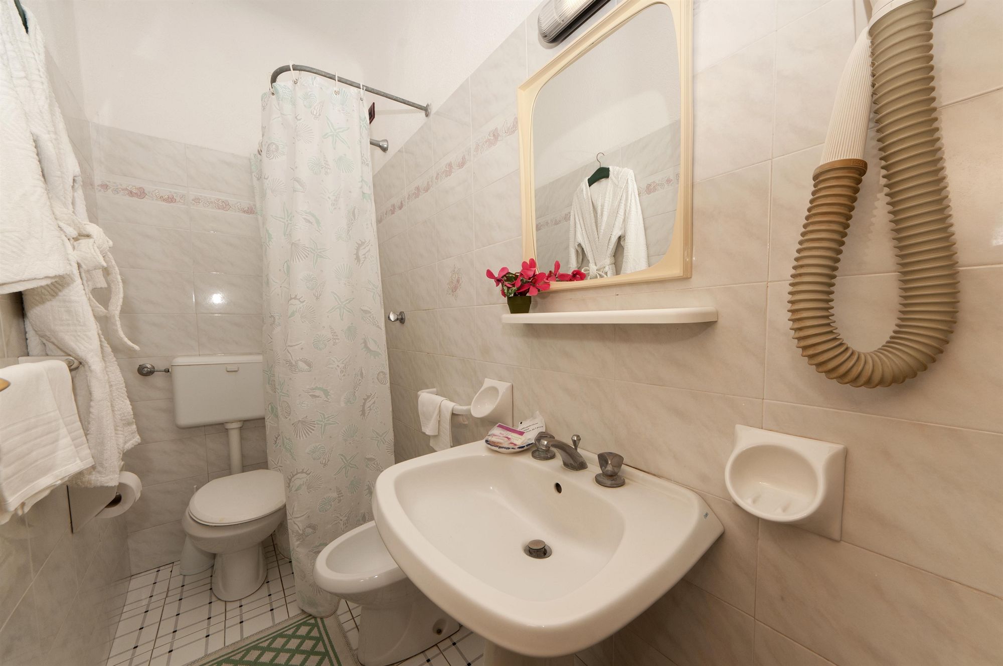 Фото Hotel Villa Franca