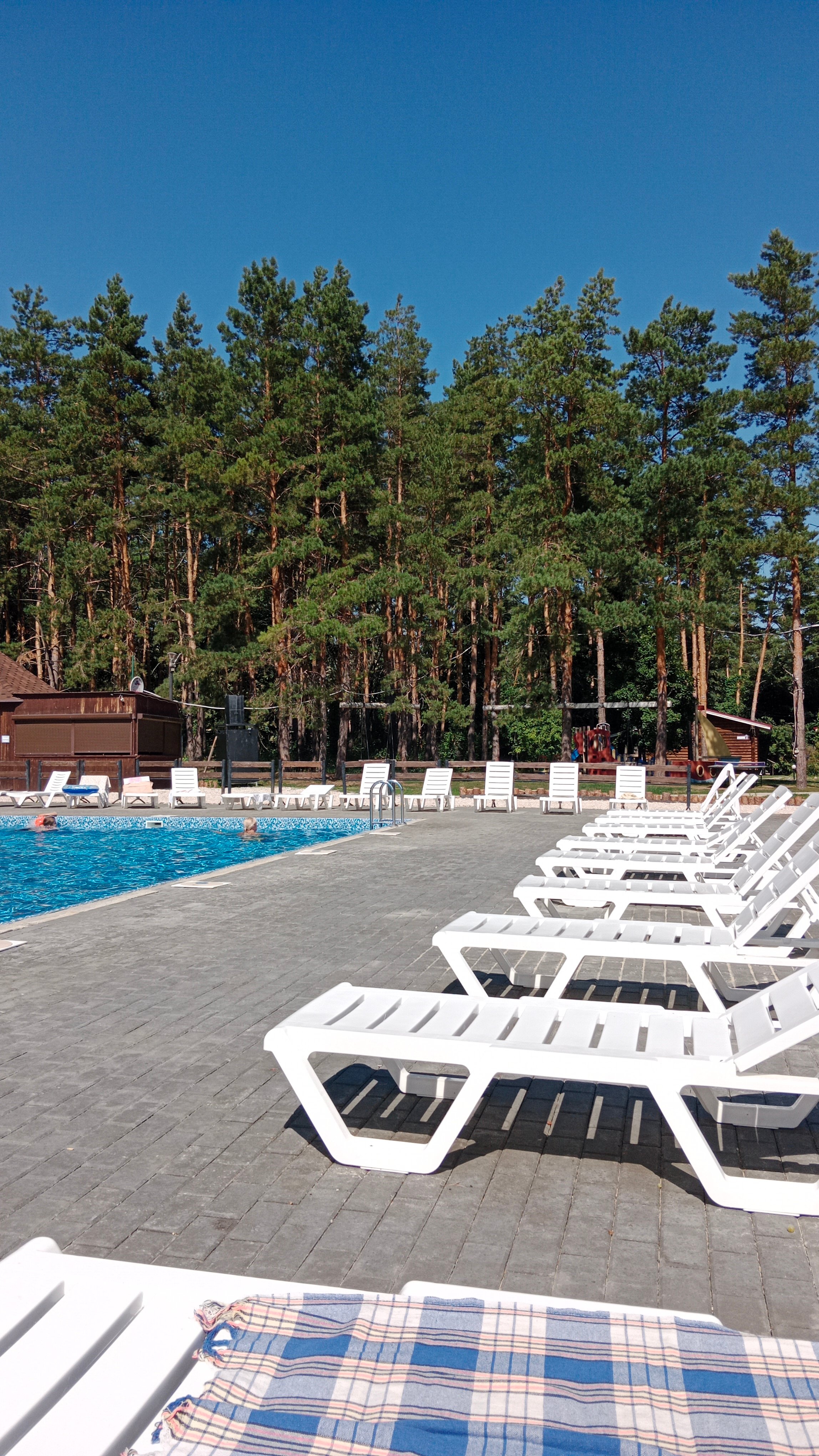 Фото Лесная гавань