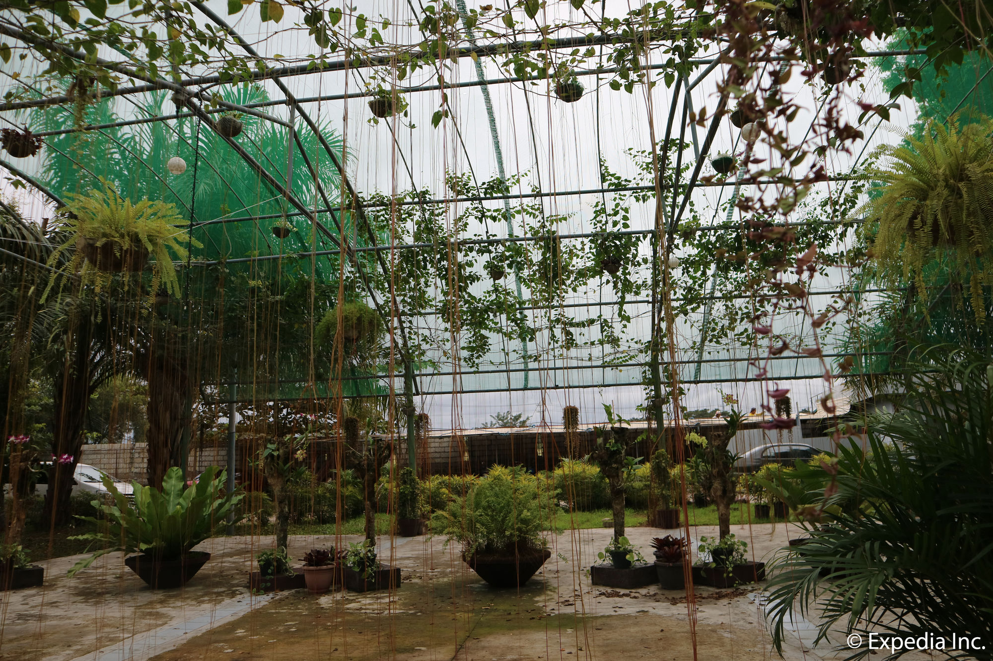 Фото Technopark Hotel