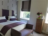 Фото The Green House