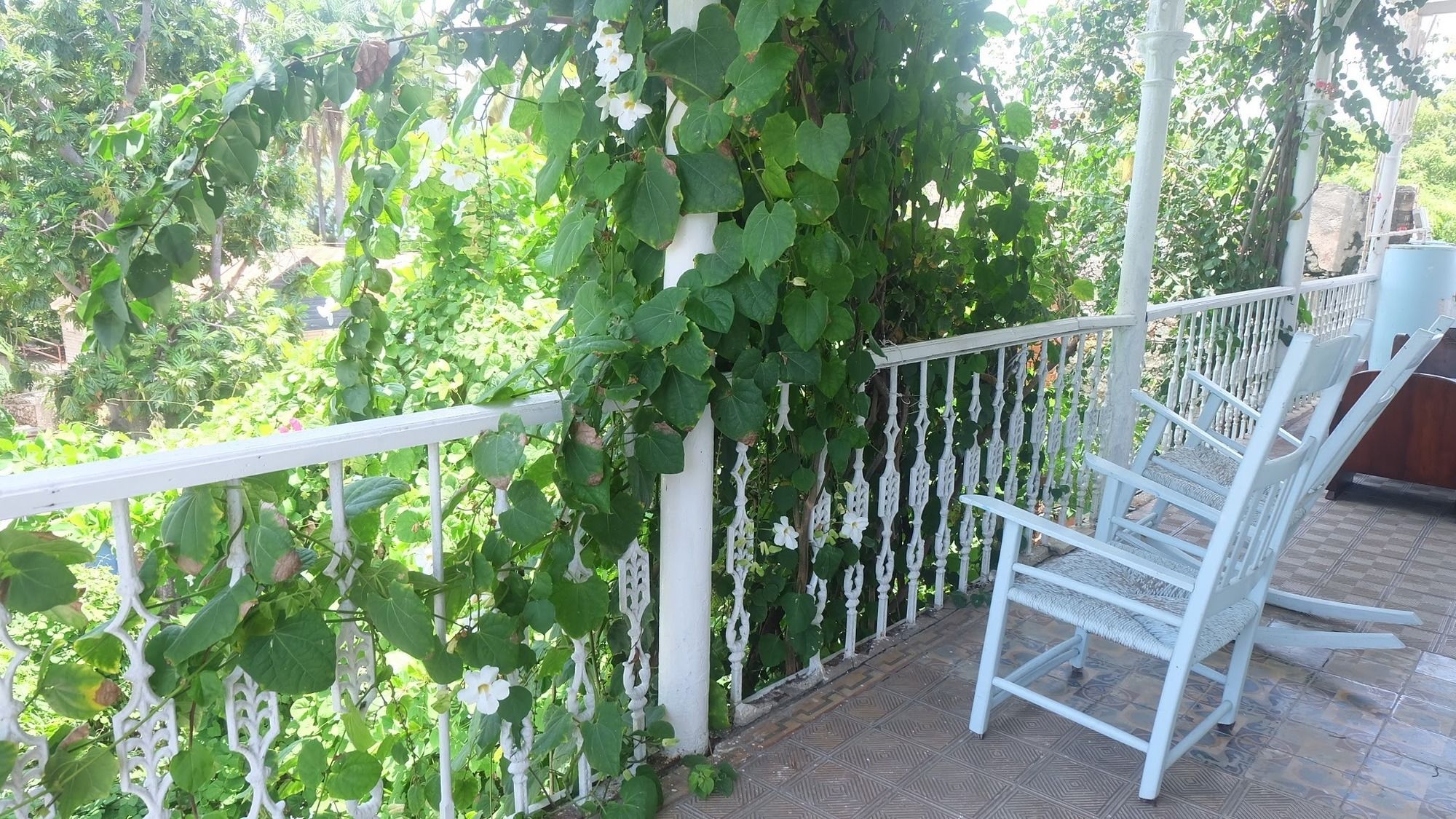 Фото Hotel Florita