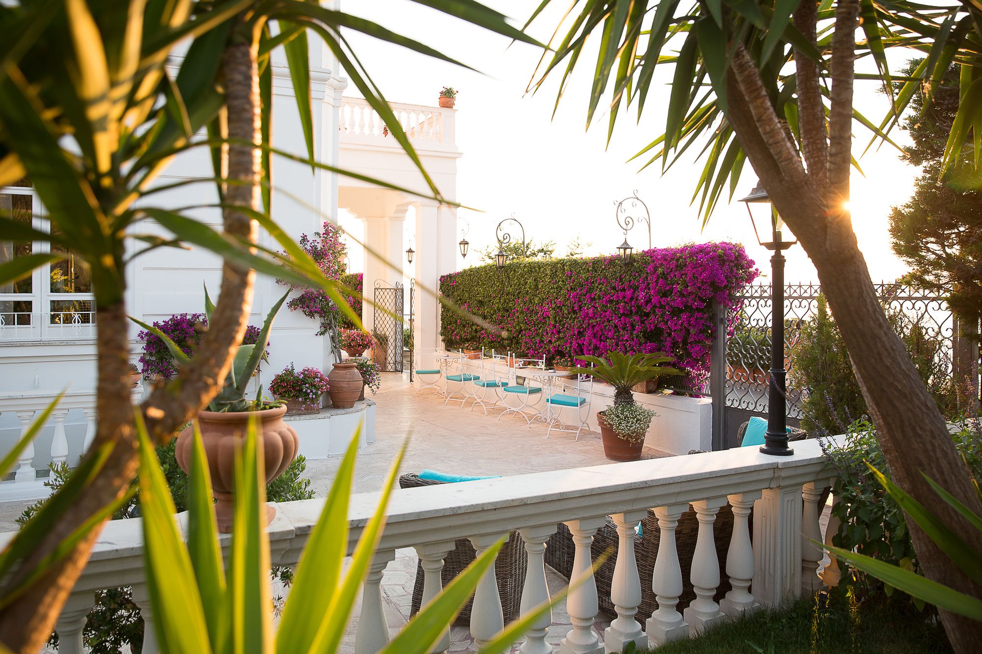 Фото Hotel Villa Garden