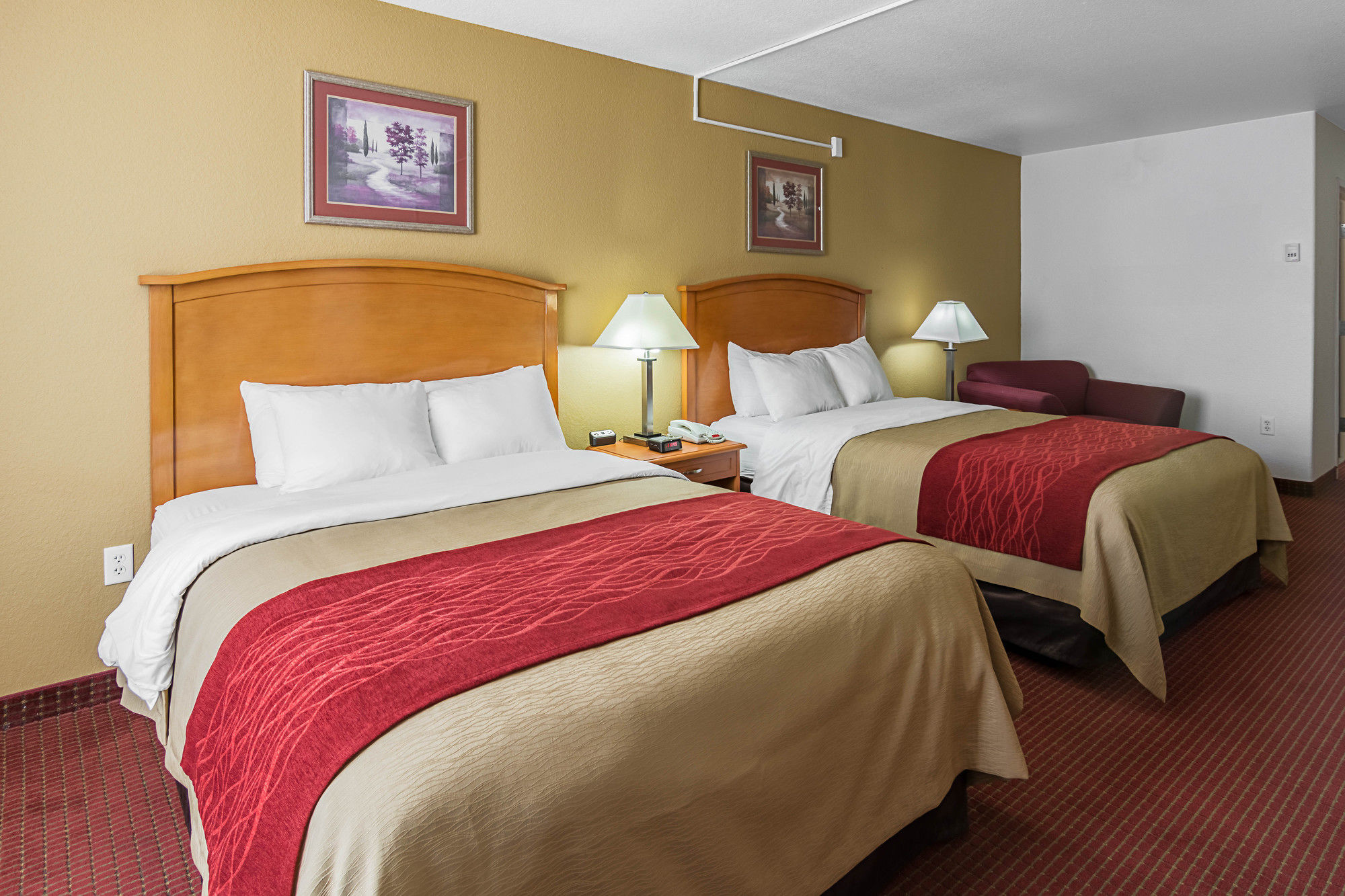 Фото Comfort Inn & Suites Chesapeake - Portsmouth