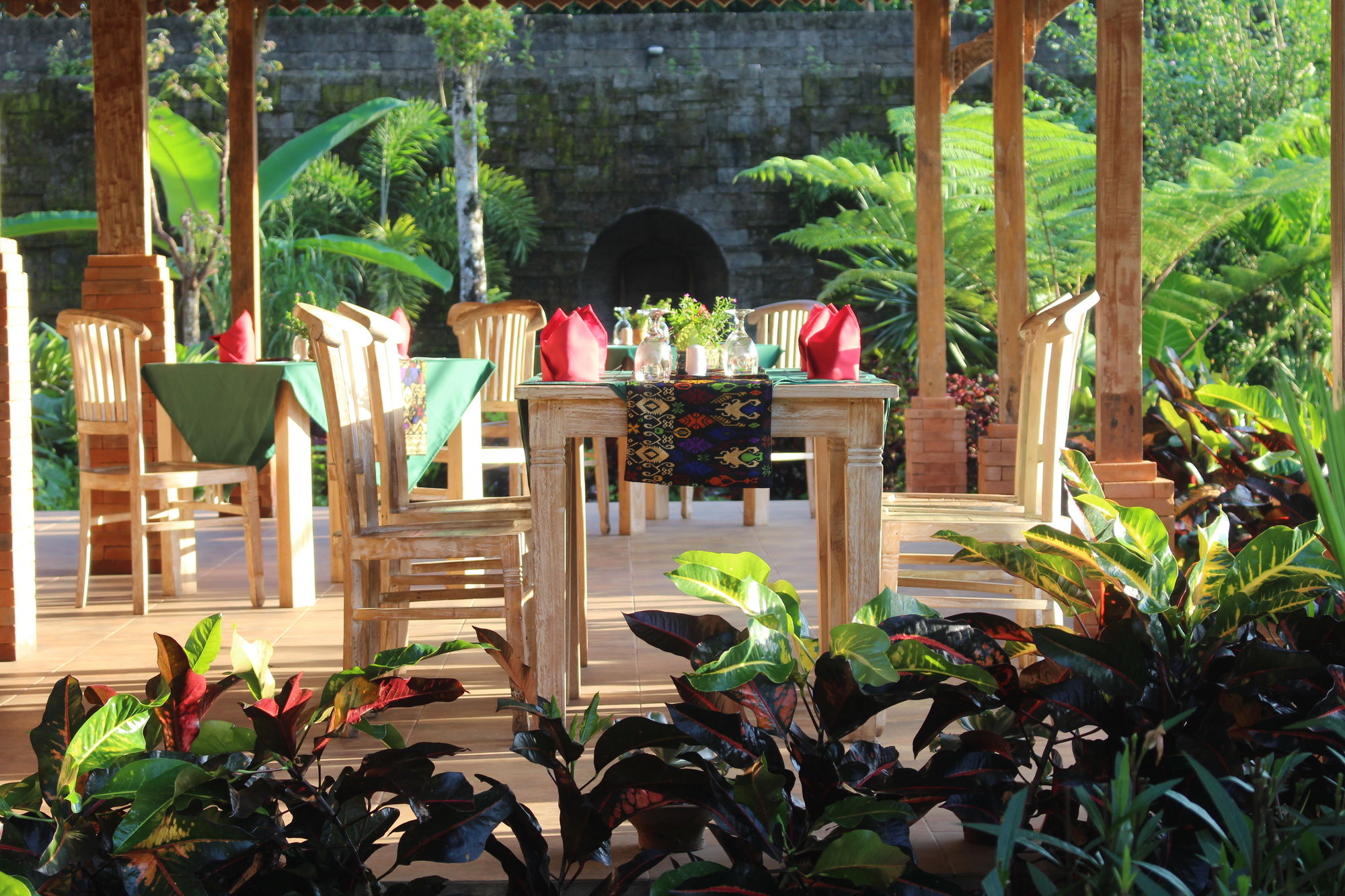 Фото 164162676469