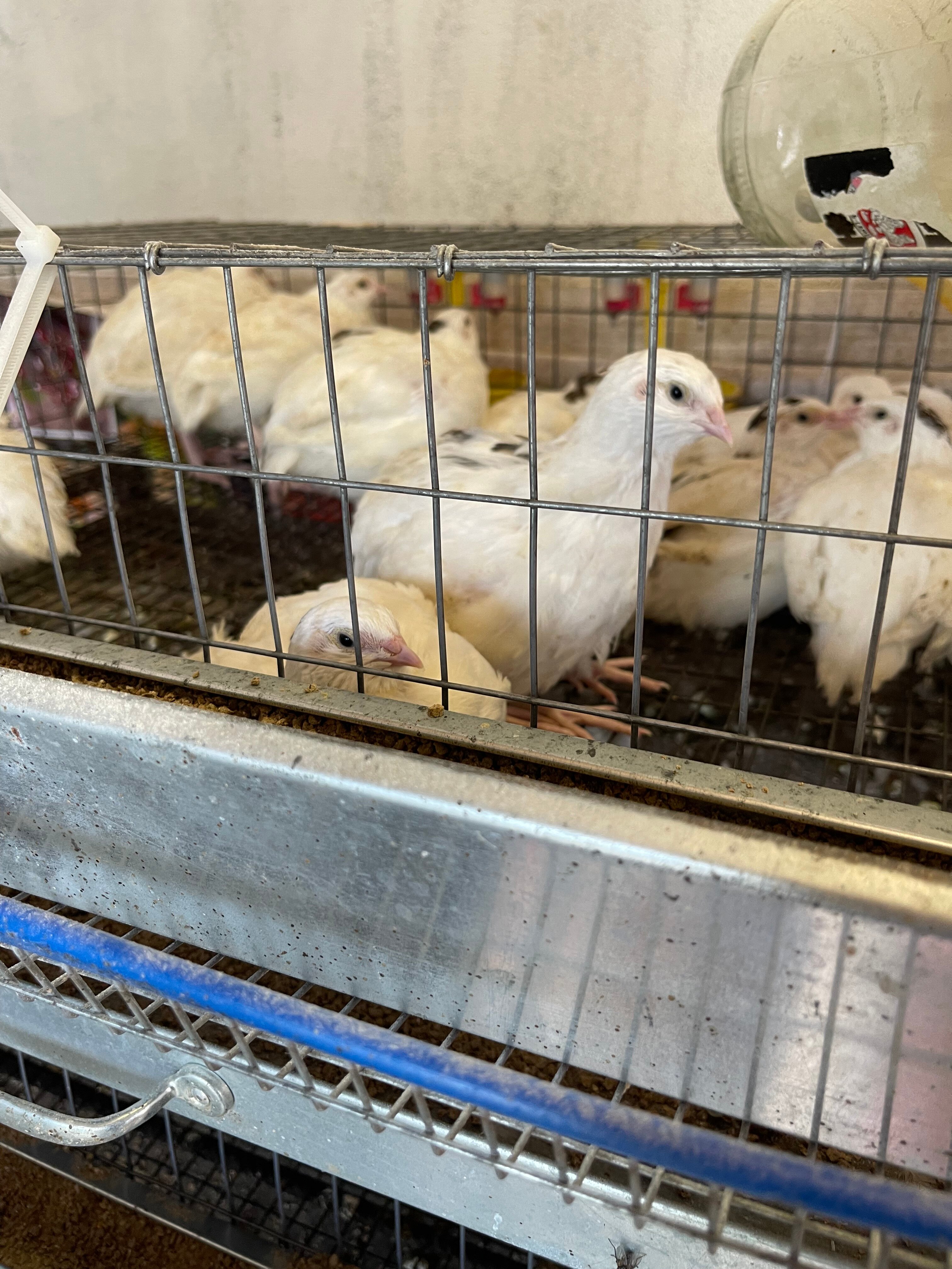 Фото Отдых и точка