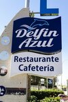 Delfin Azul