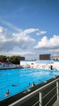 Olympic Reserve School, swimming pool (Odoevskogo Street, 1к3), piscina