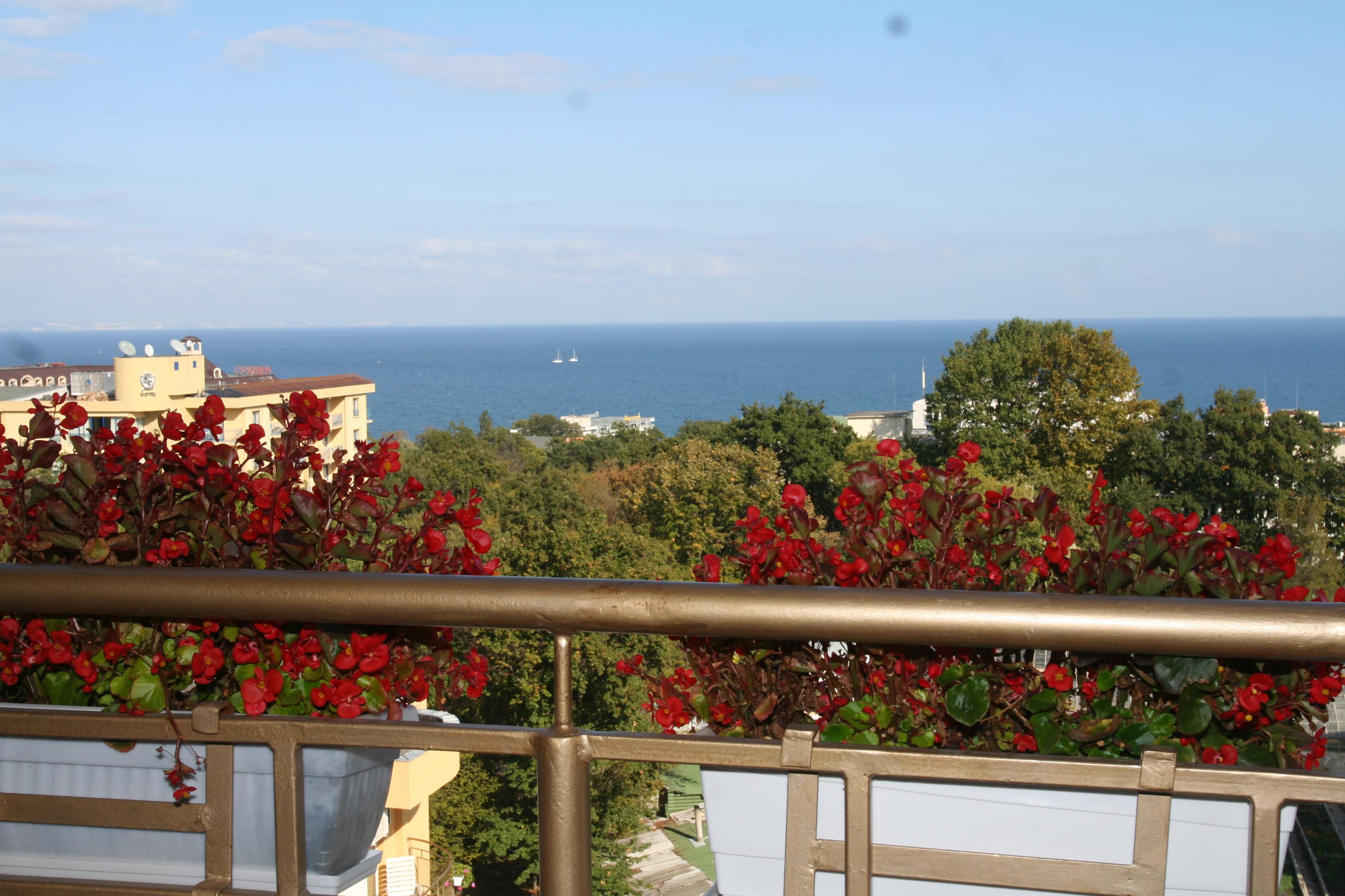 Фото Joya Park Complex