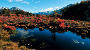 Гостиница Arakur Ushuaia