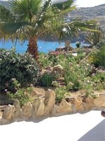 Фото Salty Houses