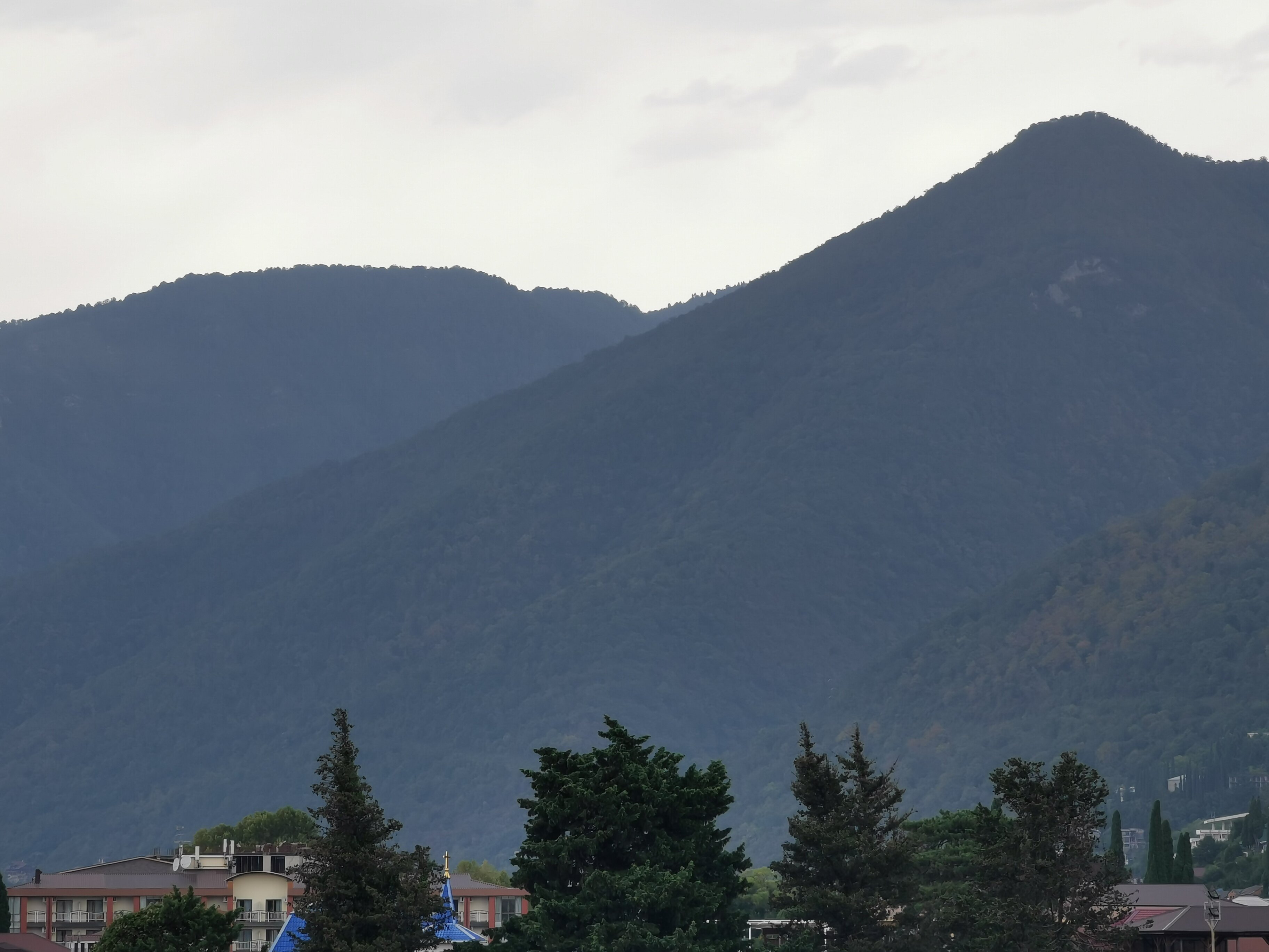 Фото Медовый