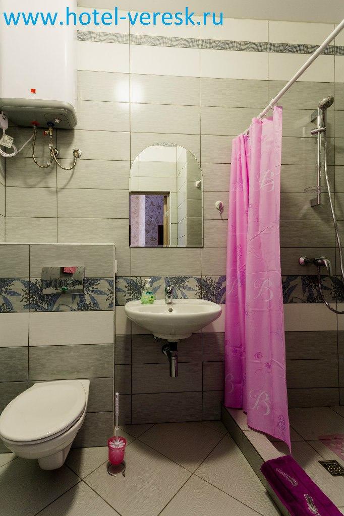 Фото Вереск