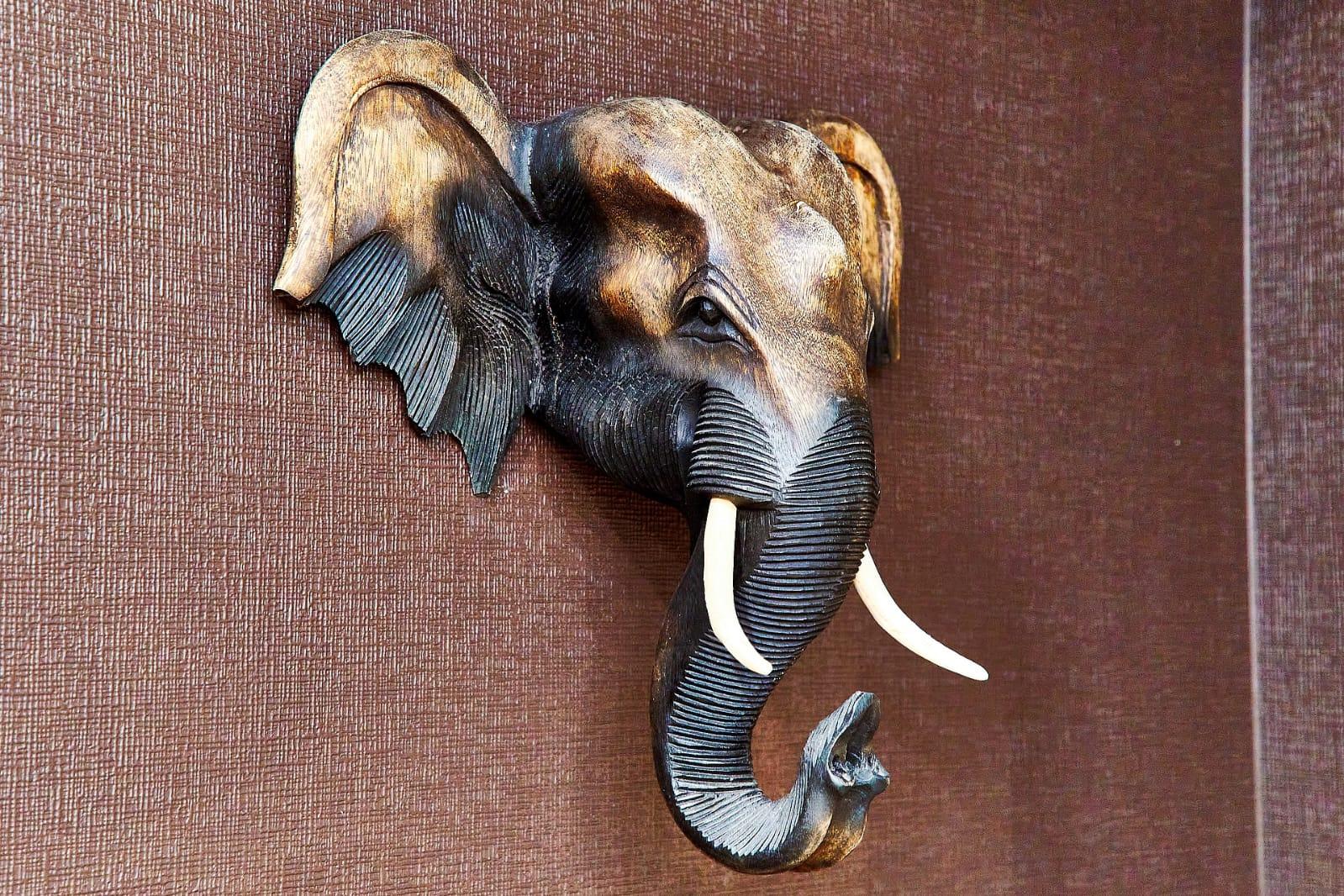 Фото Критик Отдыхает