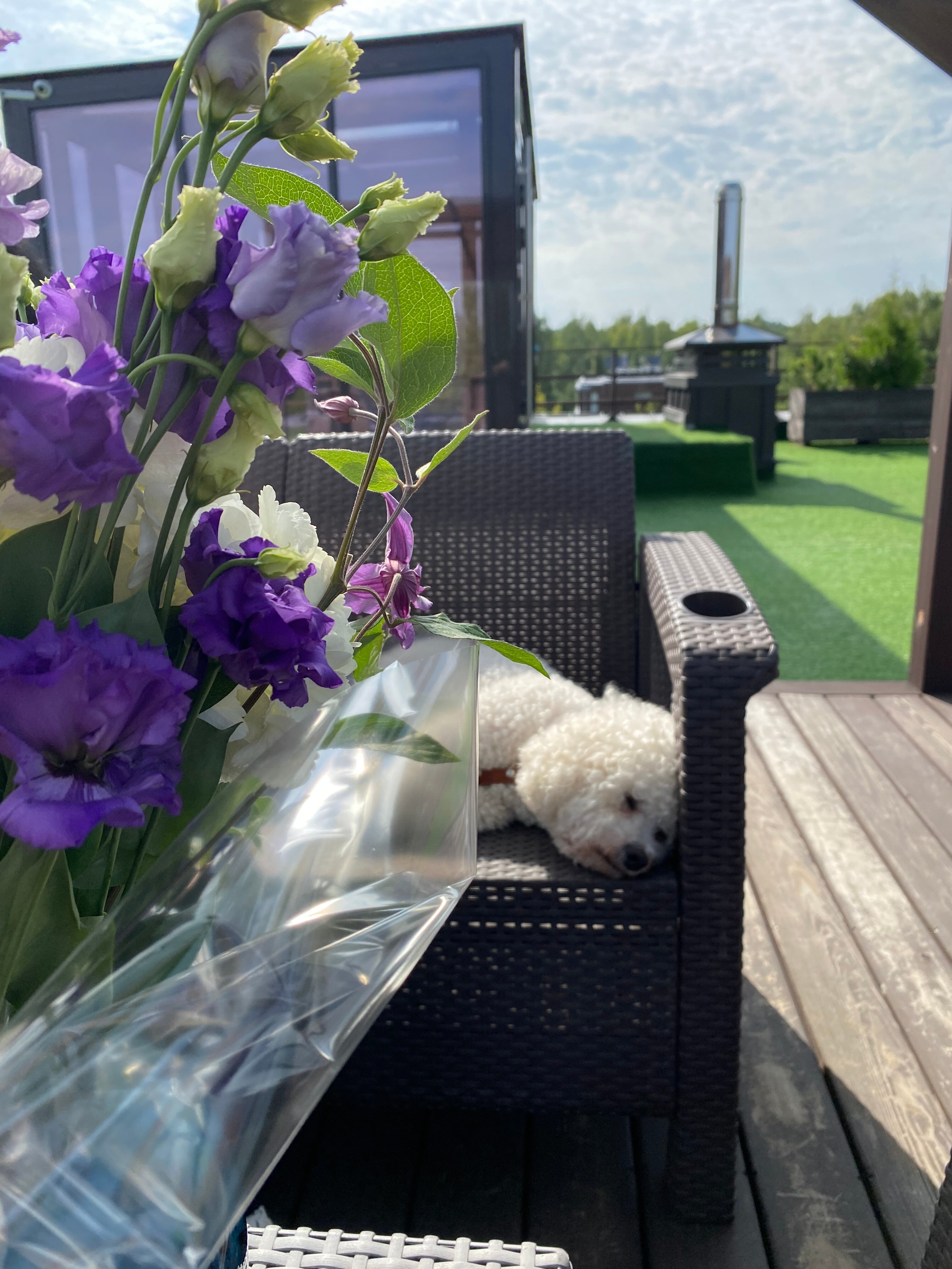 Фото Резиденция Жуковка