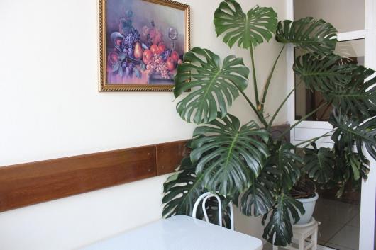 Фото Жемчужина