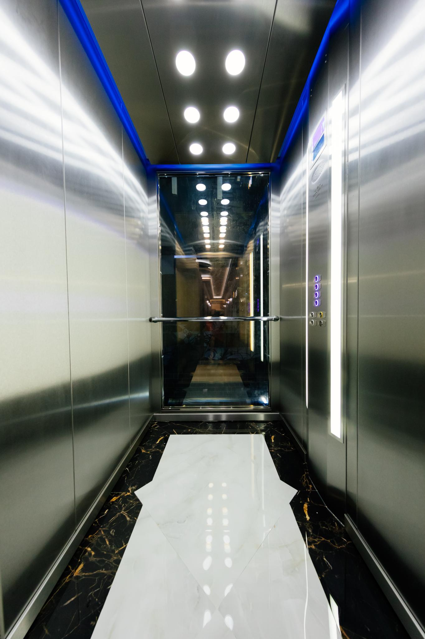 Фото Монарх