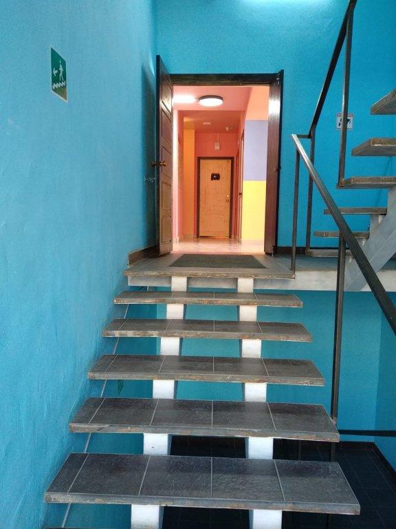 Фото Вежливый Лось на Ботаническом саду