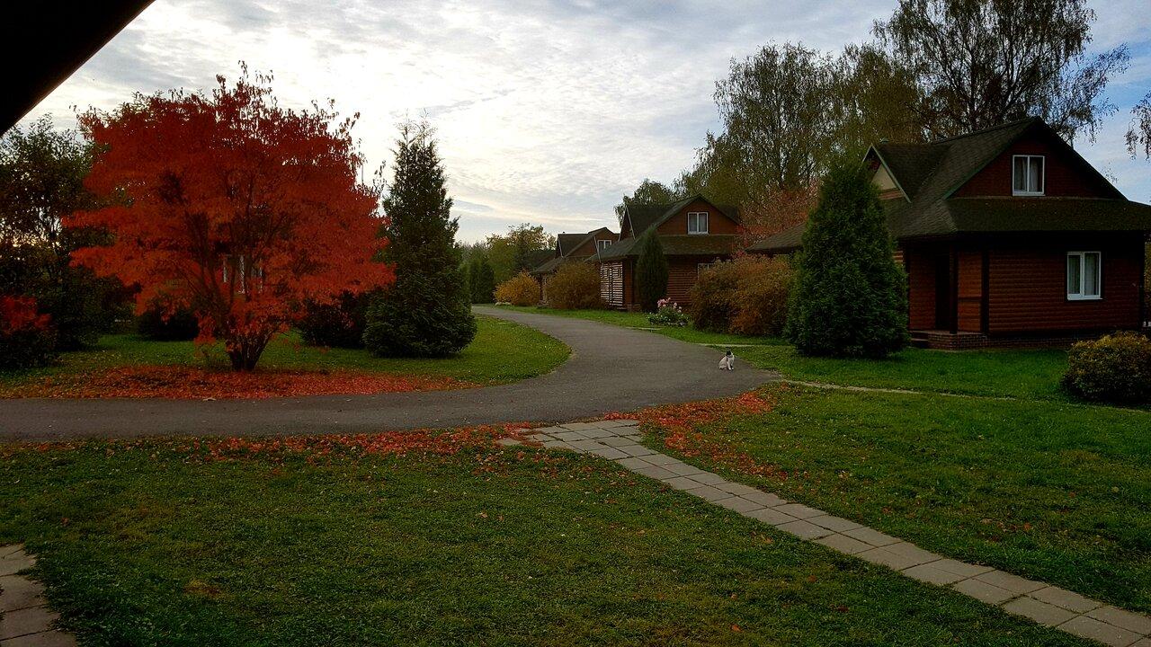 Фото Гостиница Парк Птиц
