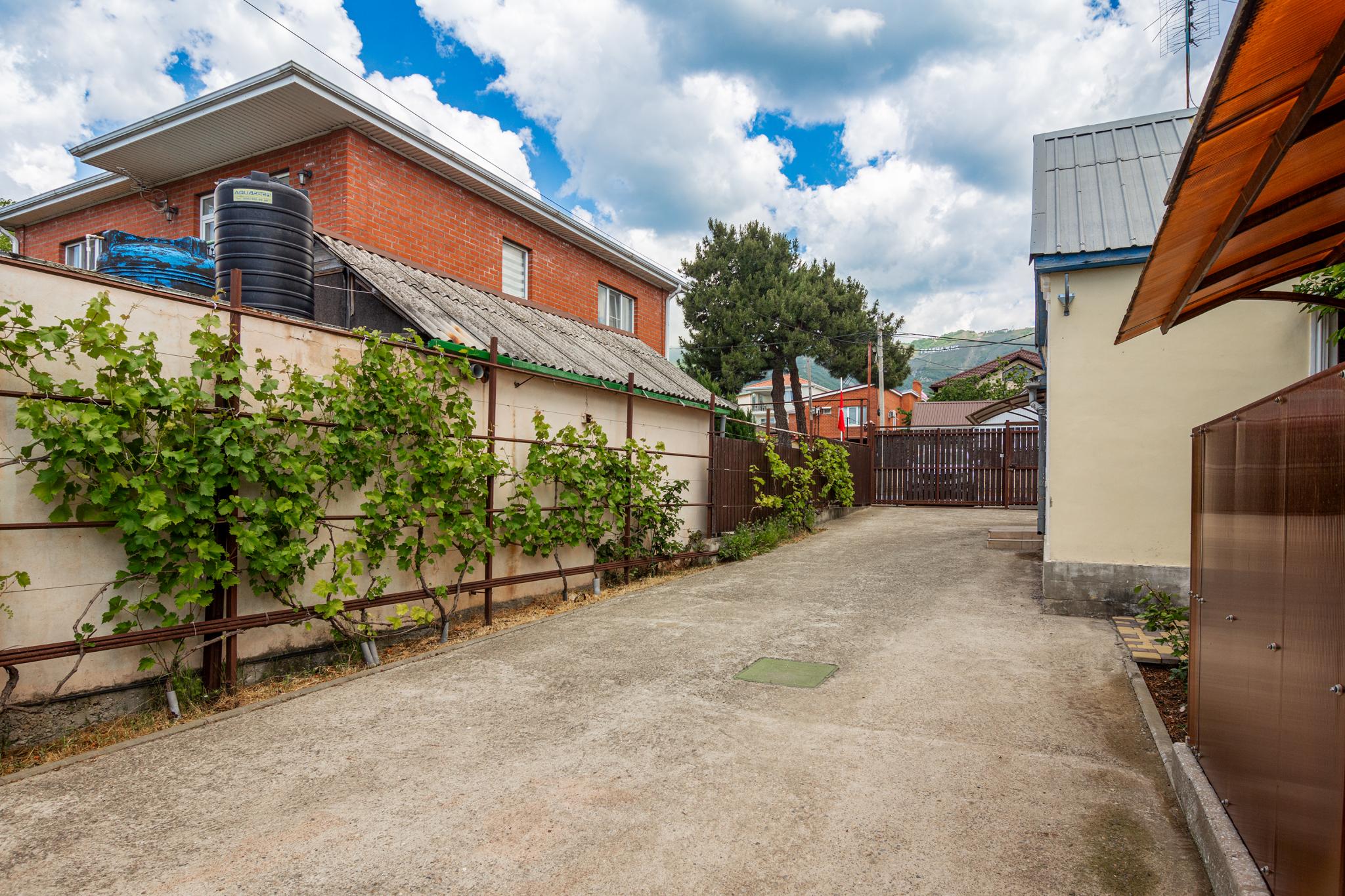 Фото Мускат