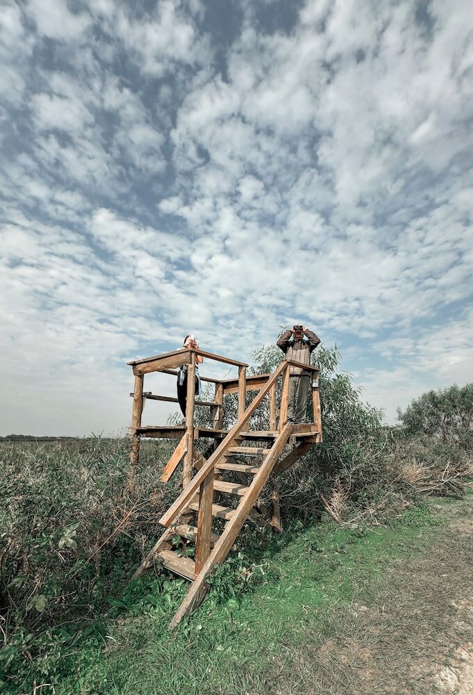 Фото Wild Wetlands Lodge