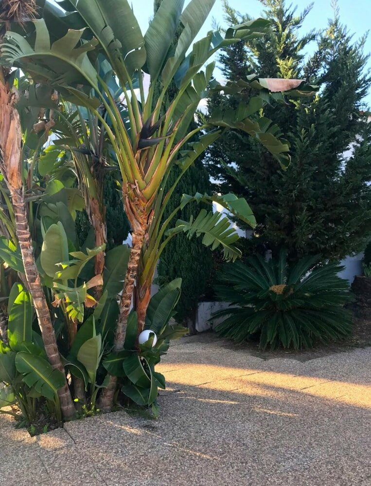 Фото Solar de São João - Apartamentos Turísticos