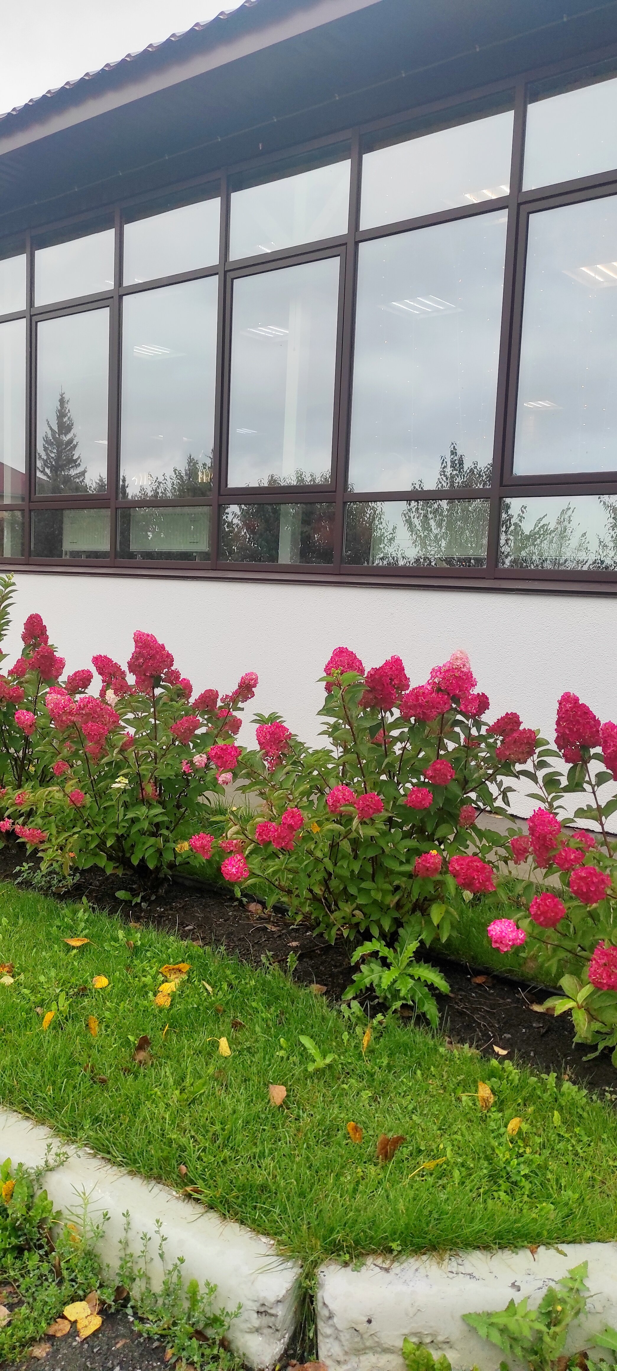 Фото Апарт-отель Бочкари 1825