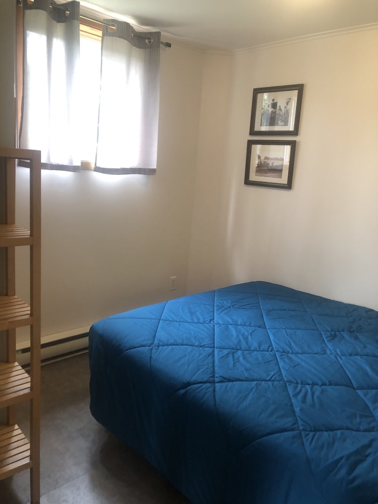 Фото Les chanterelles de Forillon